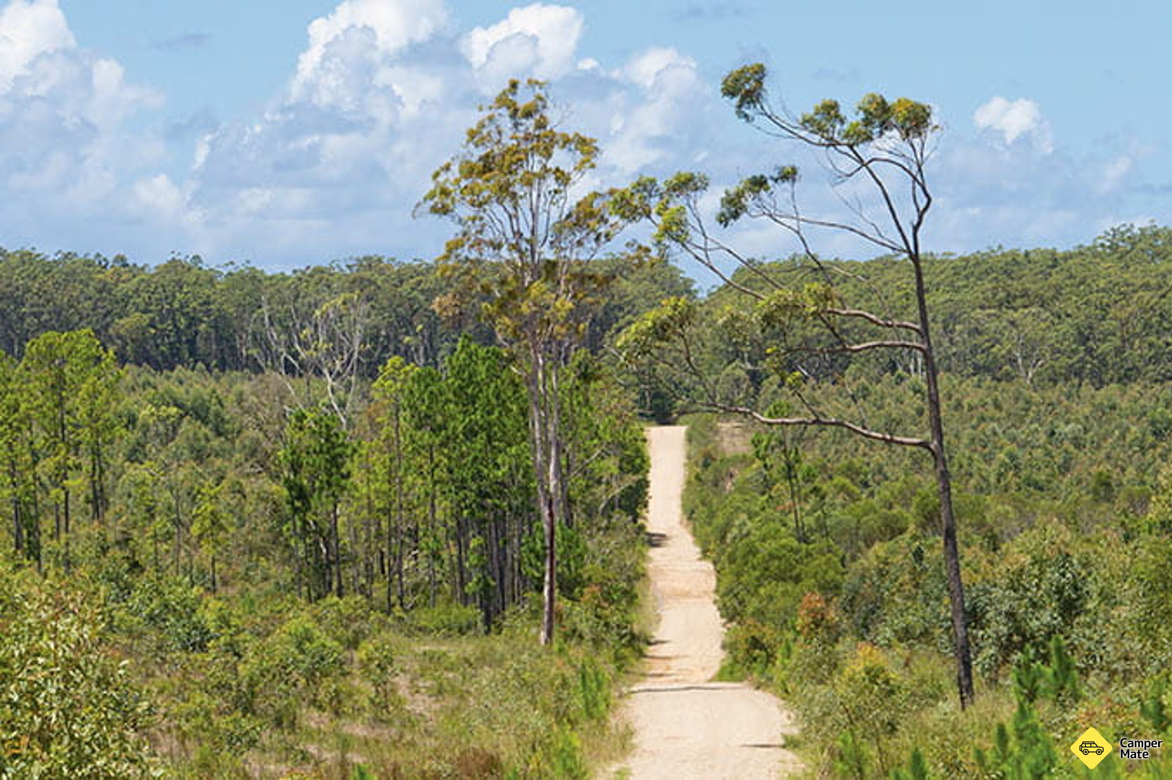 Vakantie Creek Campground - Image 3