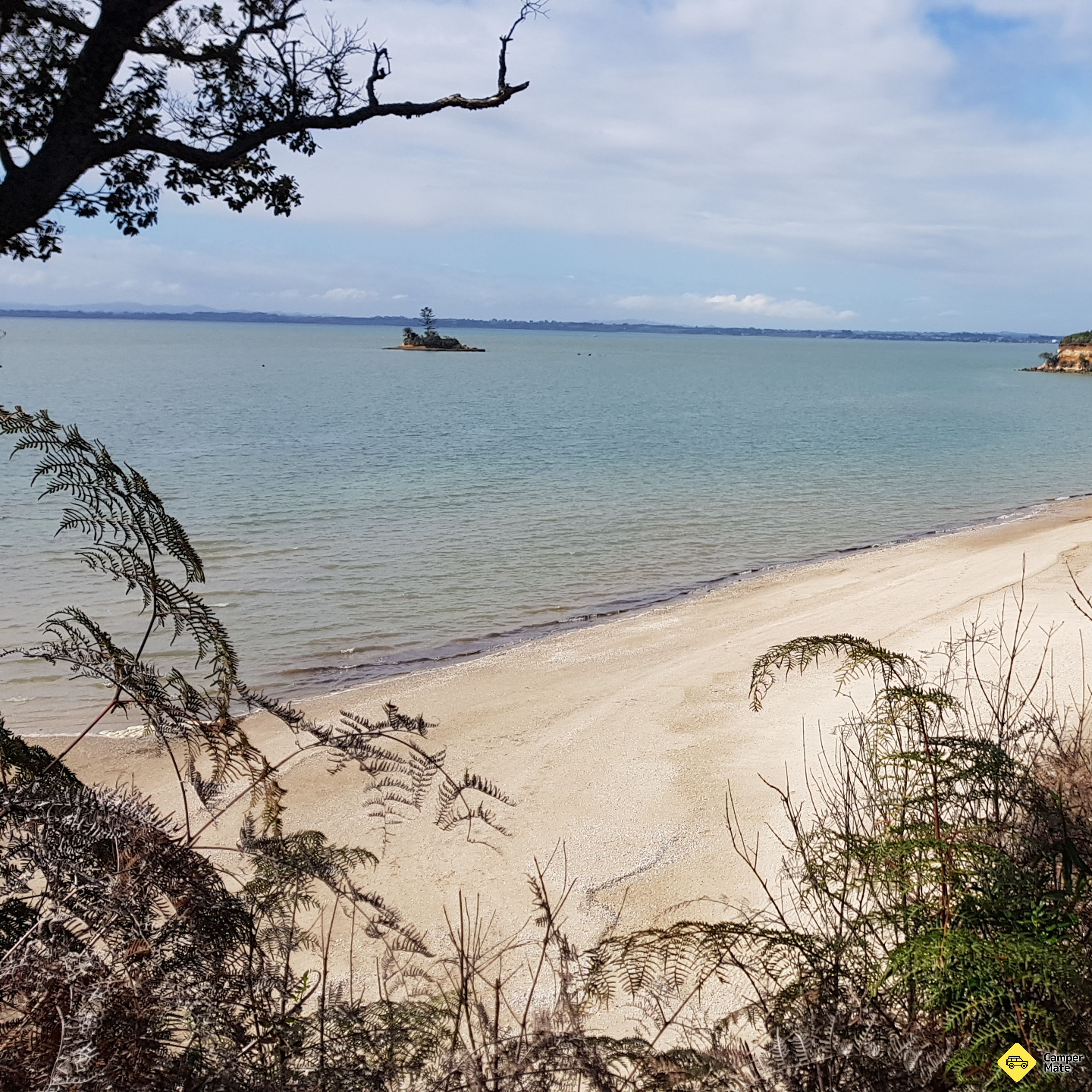 Awhitu Regional Park - Image 2