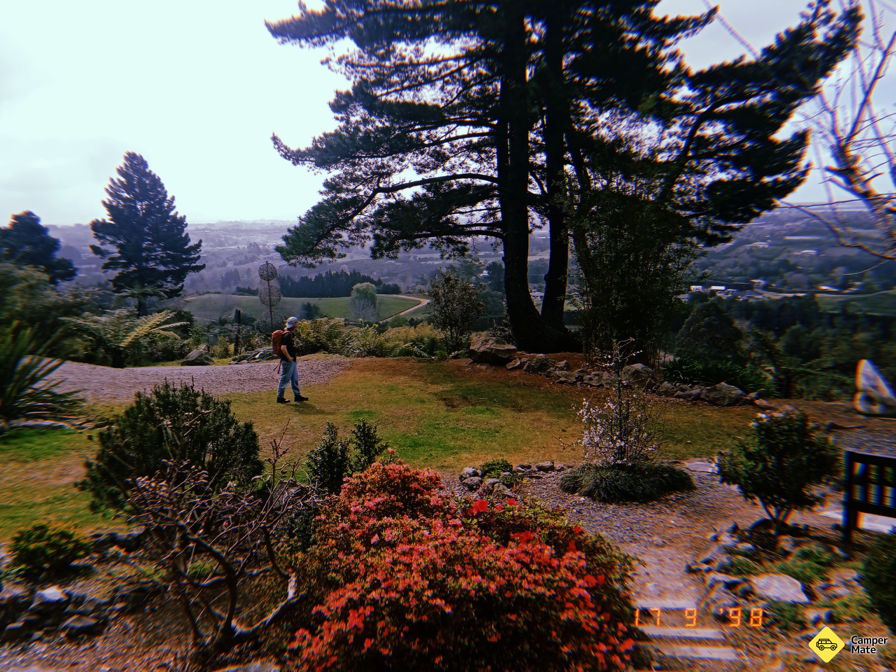 Te Puna Quarry Park - Image 2
