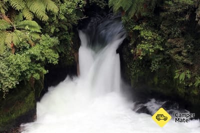 Okere Falls Track 