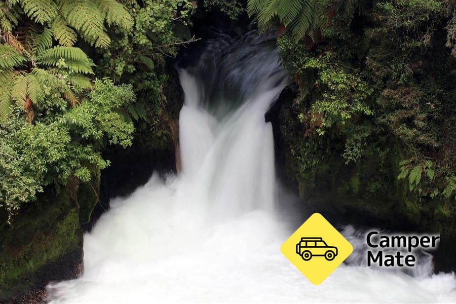 Okere Falls Track 