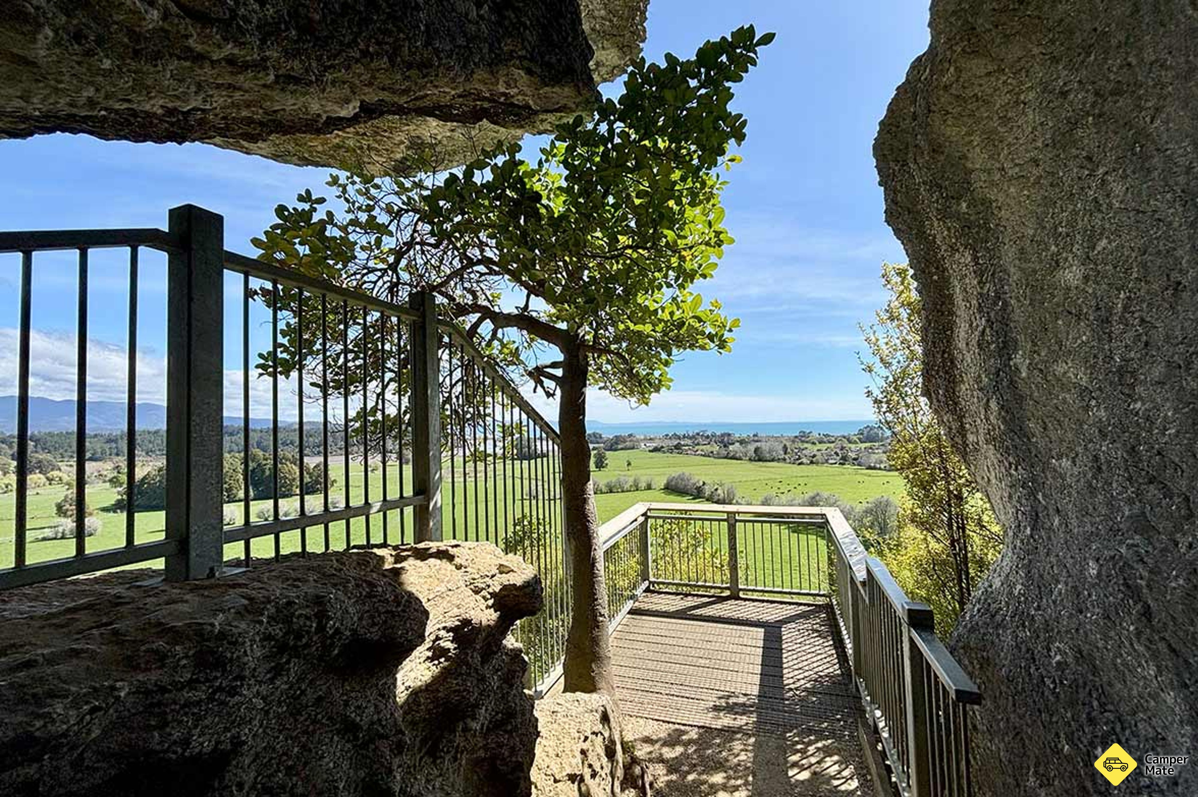 The Grove Scenic Reserve Walk - Image 3