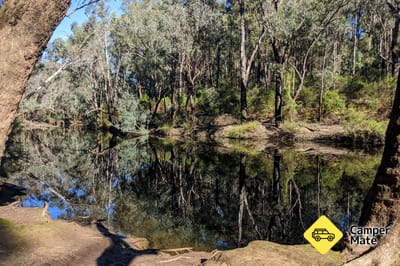 شارع Yarragil, Lane Pool Reserve