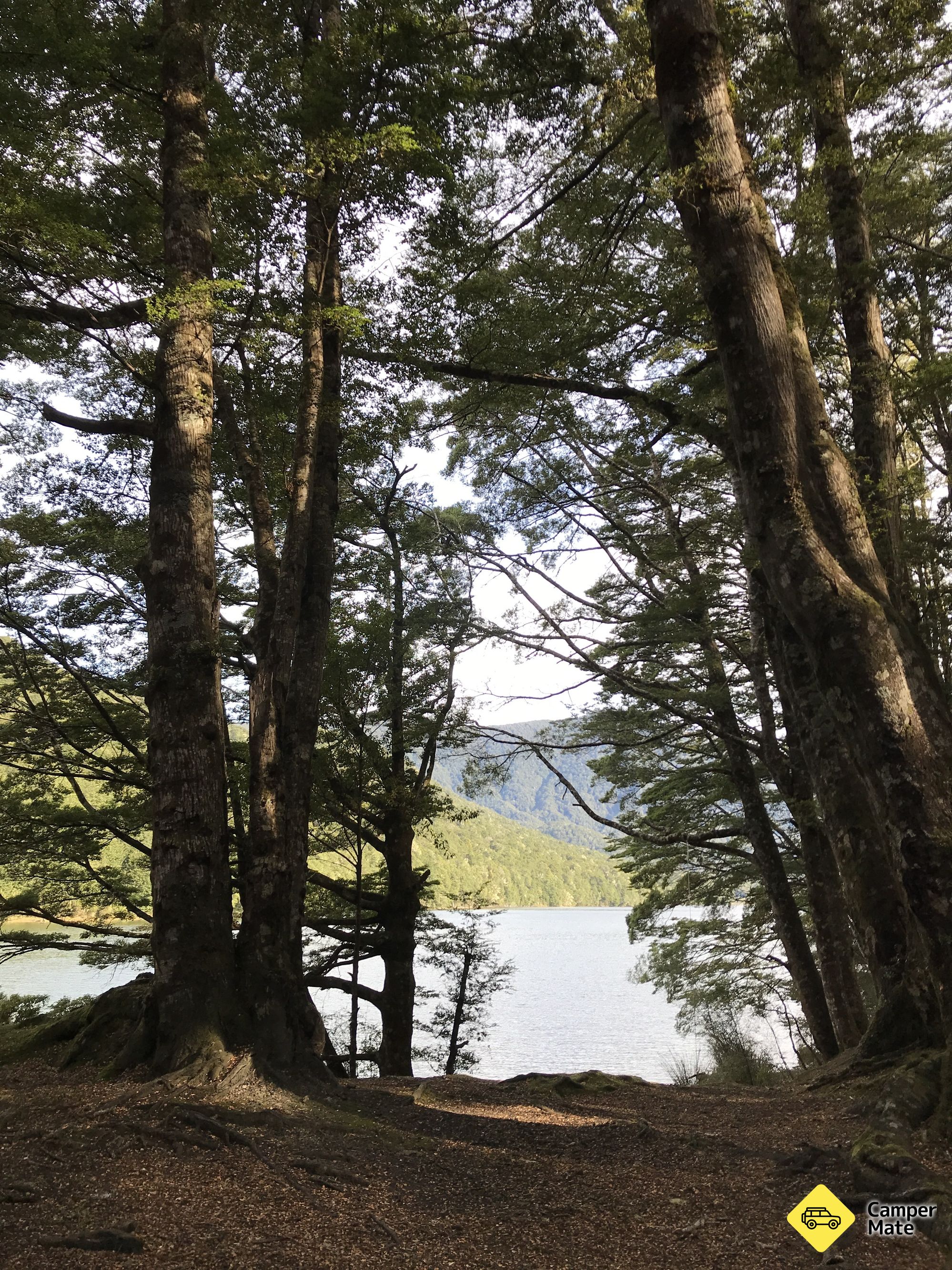 Monowai campingplass - Image 3