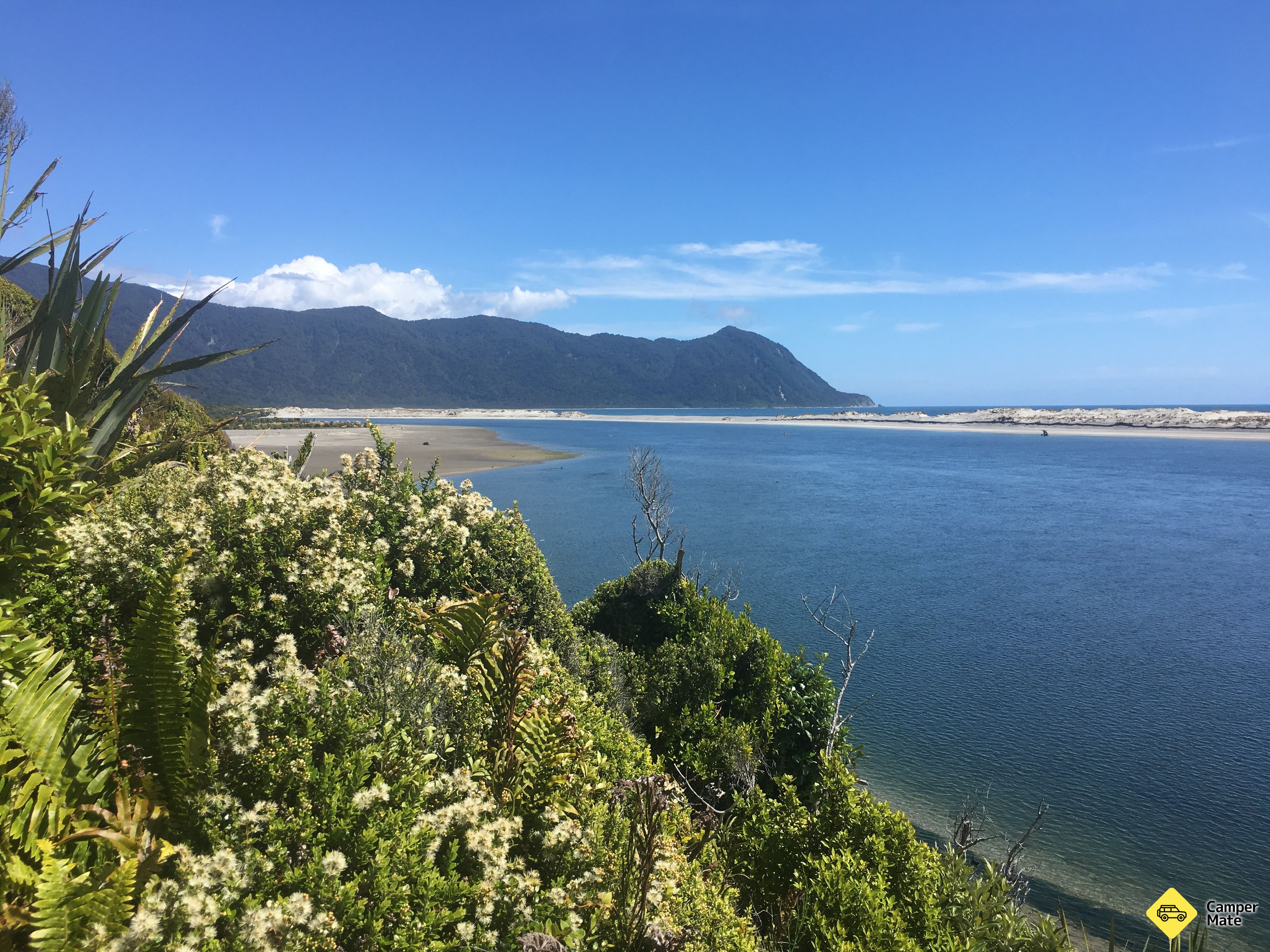 Hollyford Track - Image 3