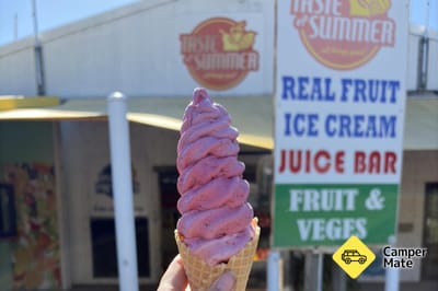 Taste of Summer