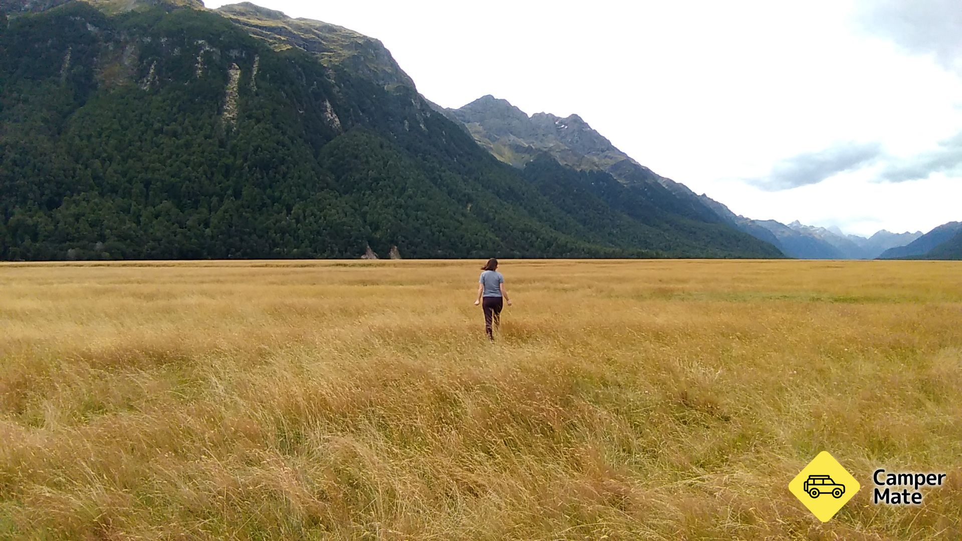 Eglinton Valley Viewpoint - Image 3