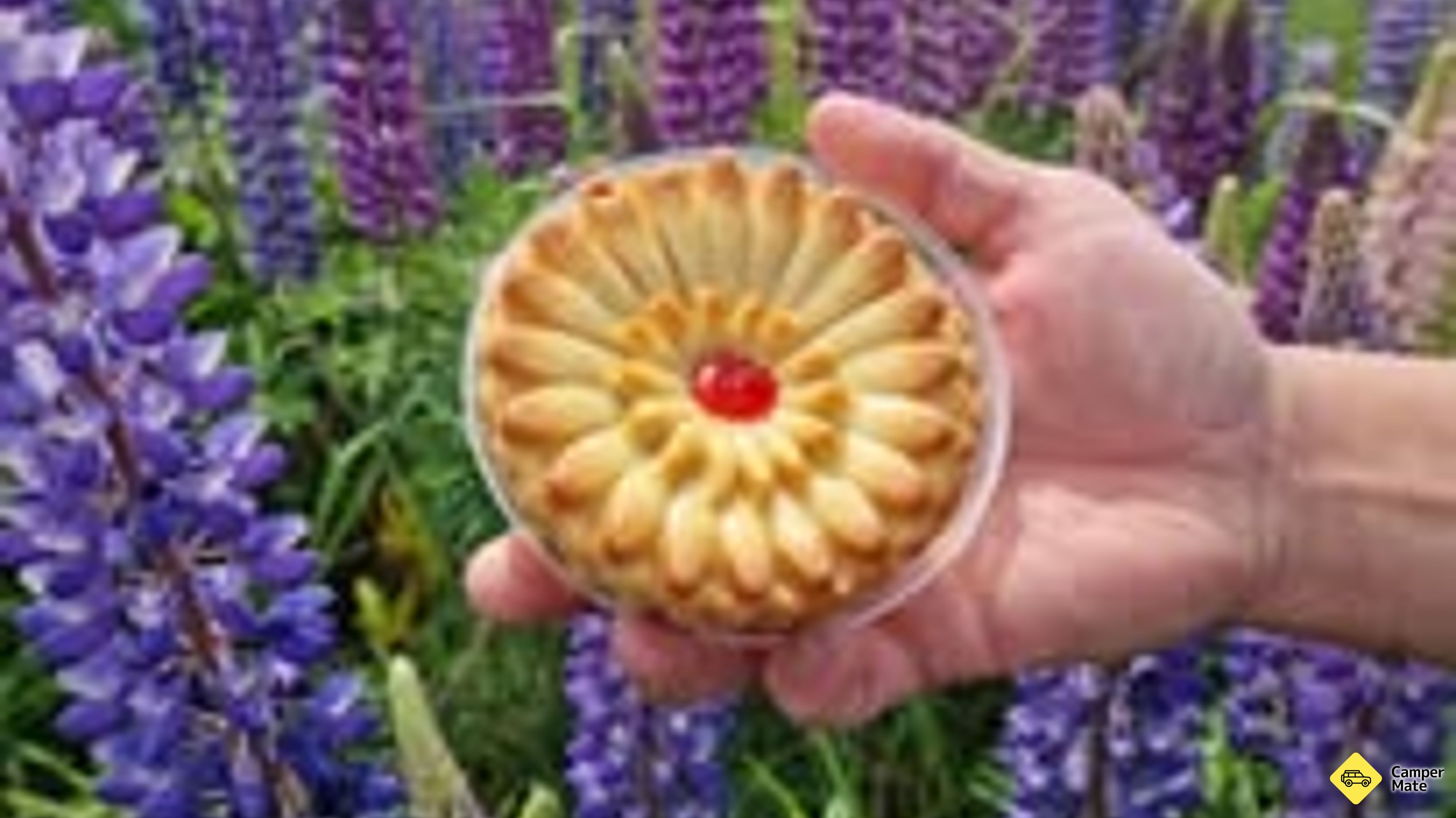 Wild Grain Bakery Silverdale