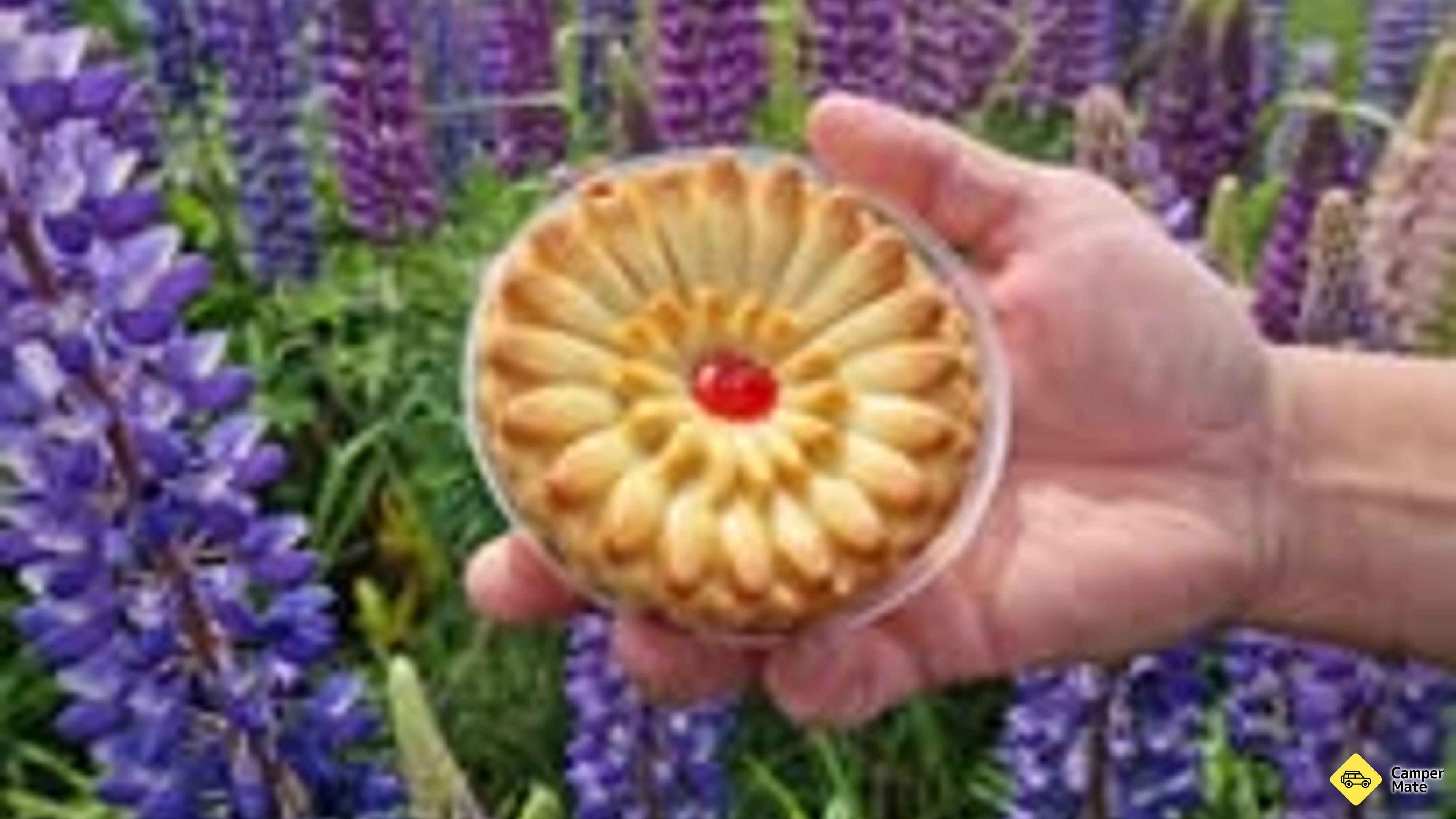 Wild Grain Bakery Silverdale