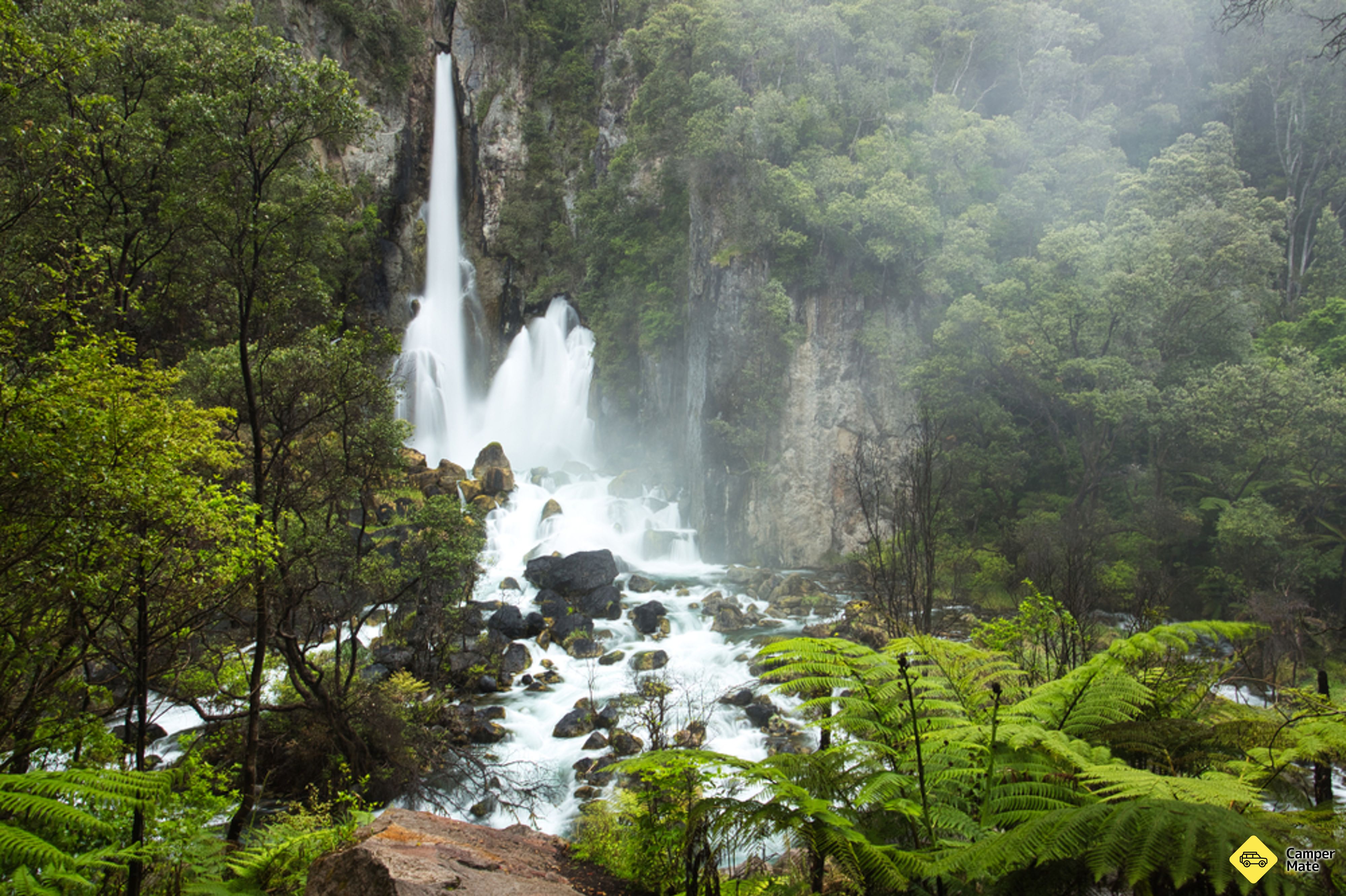 Tarawera Falls Track - Image 3
