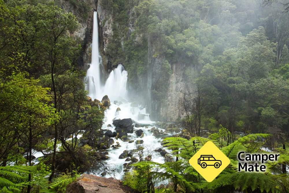 Tarawera Falls Track - Image 3