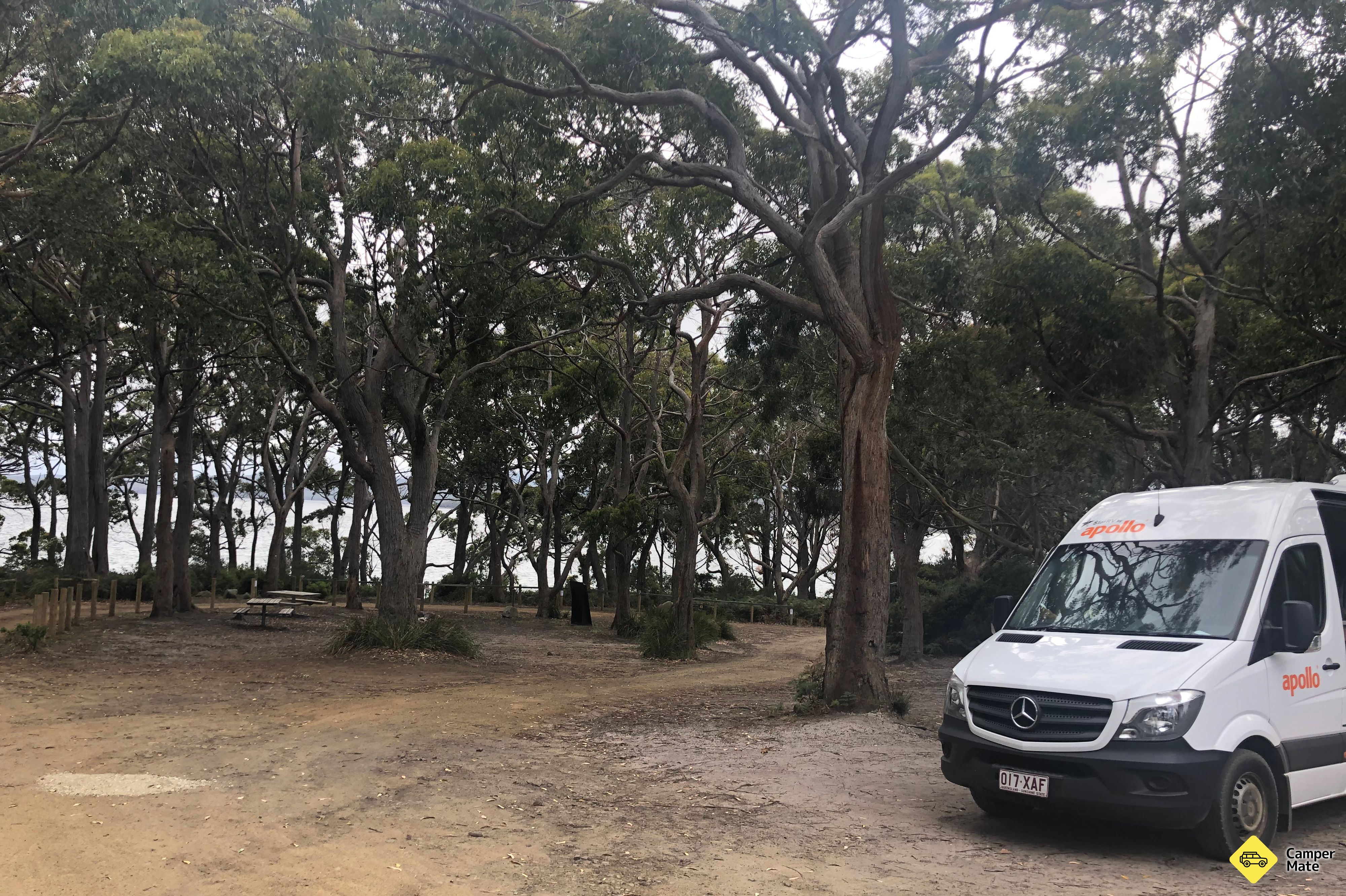 Jetty Beach Camp Area - Image 2
