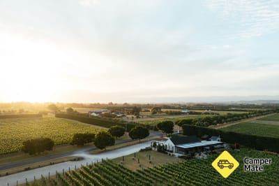 Moy Hall Vineyard