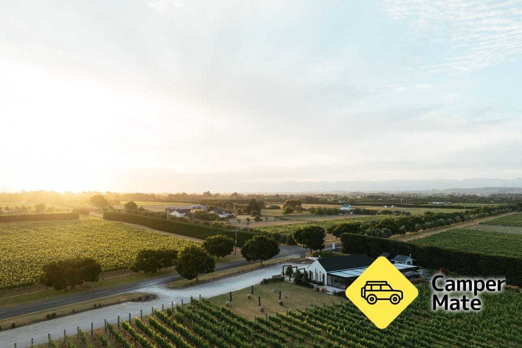 Moy Hall Vineyard