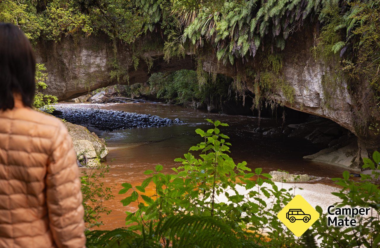 Oparara Arch Track - Image 3