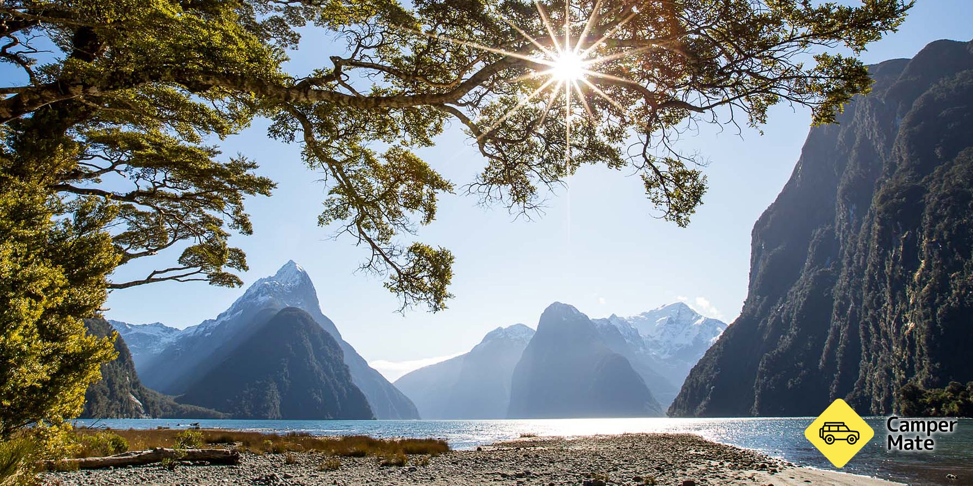 Milford Sound Day Cruise from Queenstown with RealNZ - Image 3