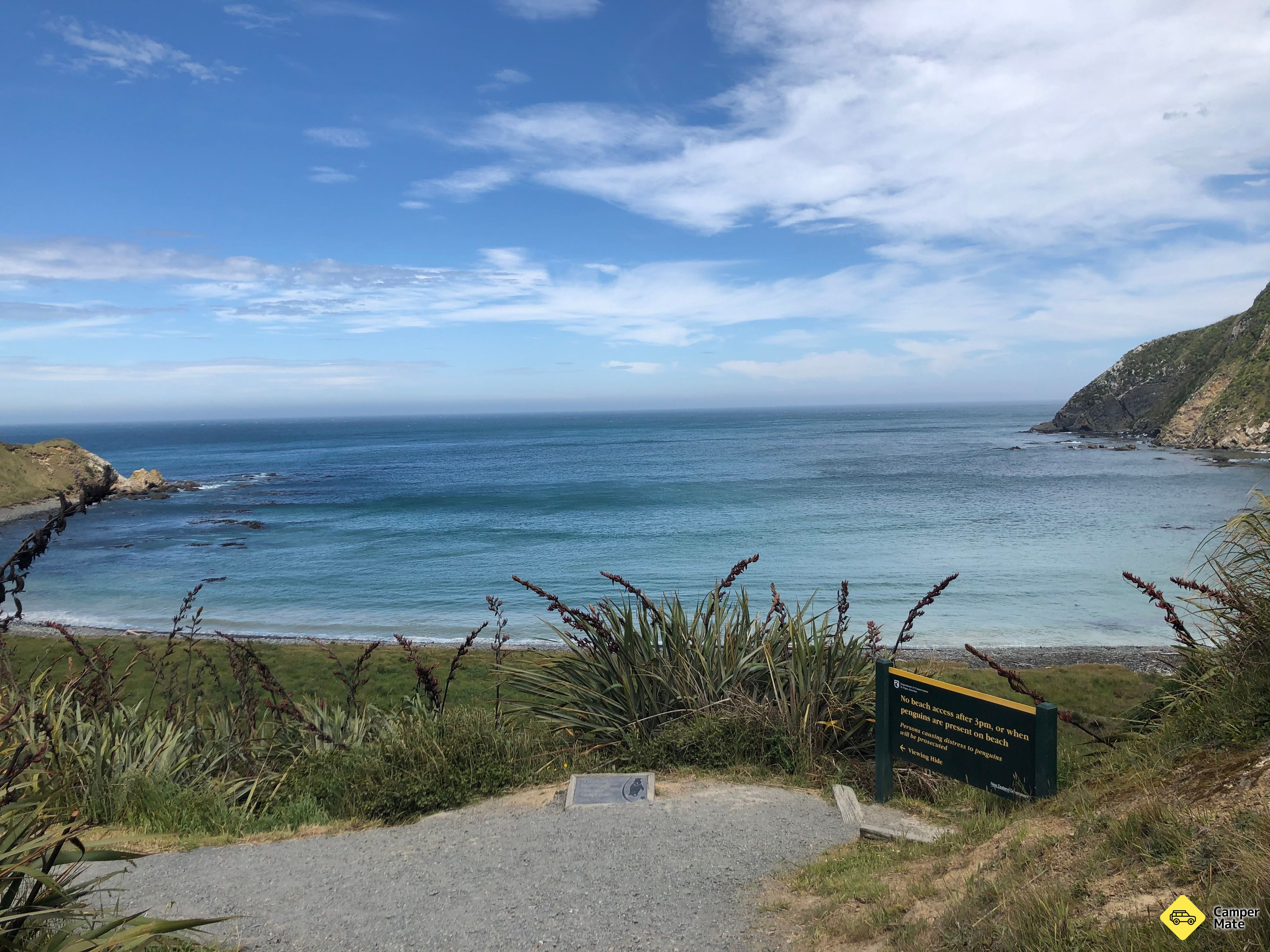 Roaring Bay Penguins - Image 2