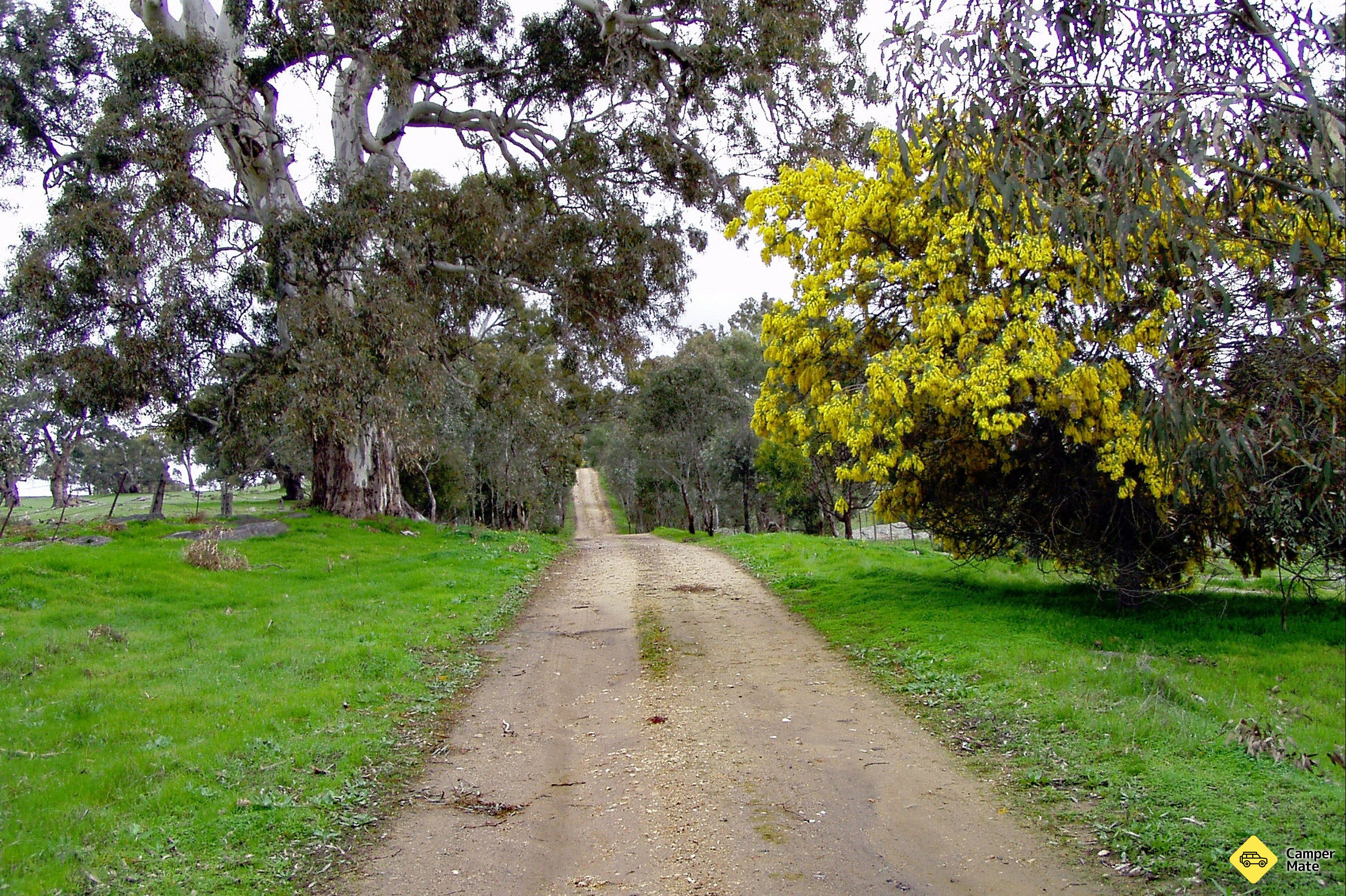 رحلة الاتحاد السويدي - Image 3