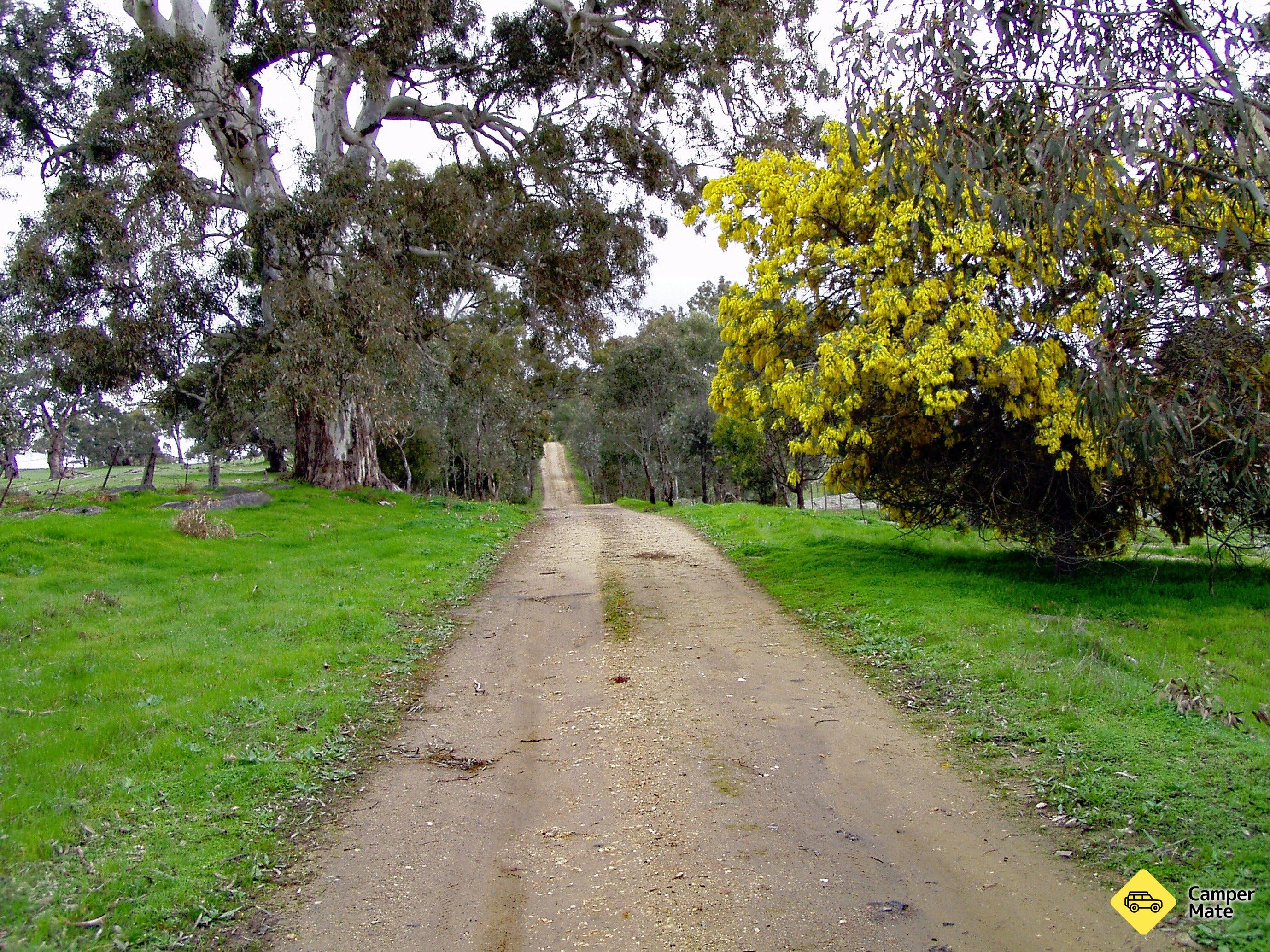 Lavender Federation Trail - Image 3