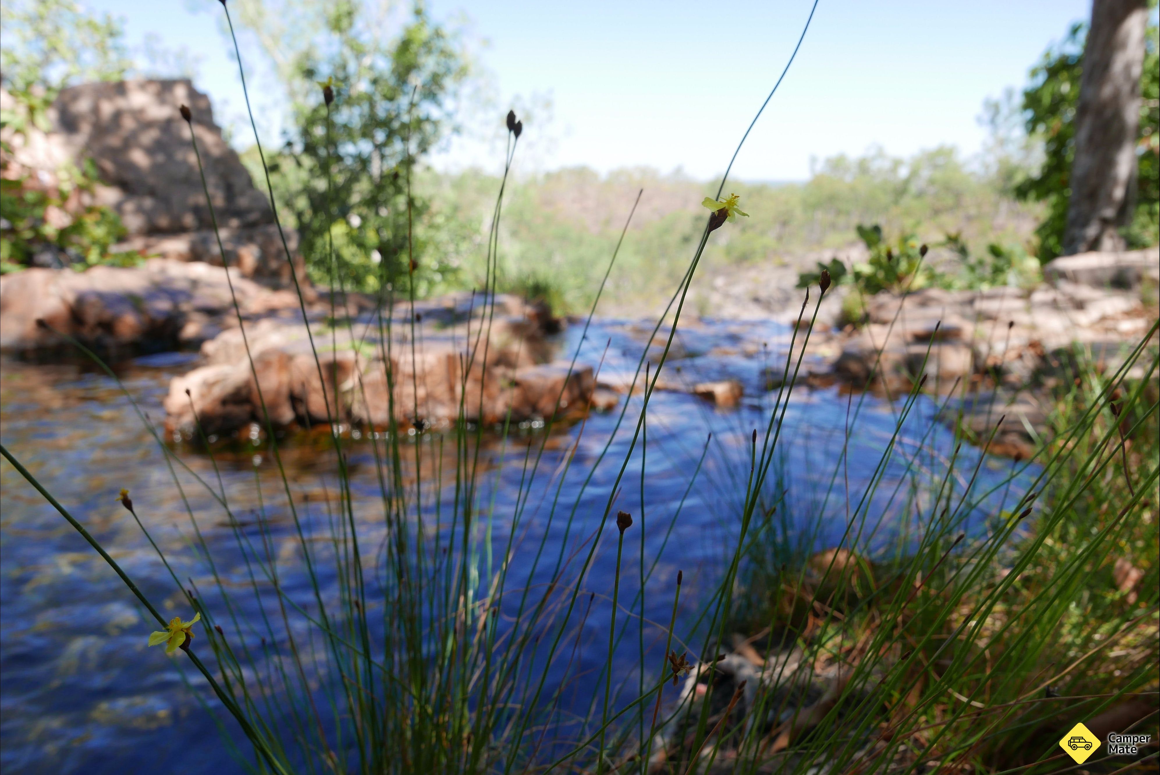 Greenant Creek Walk to Tjaetaba Falls - Image 3