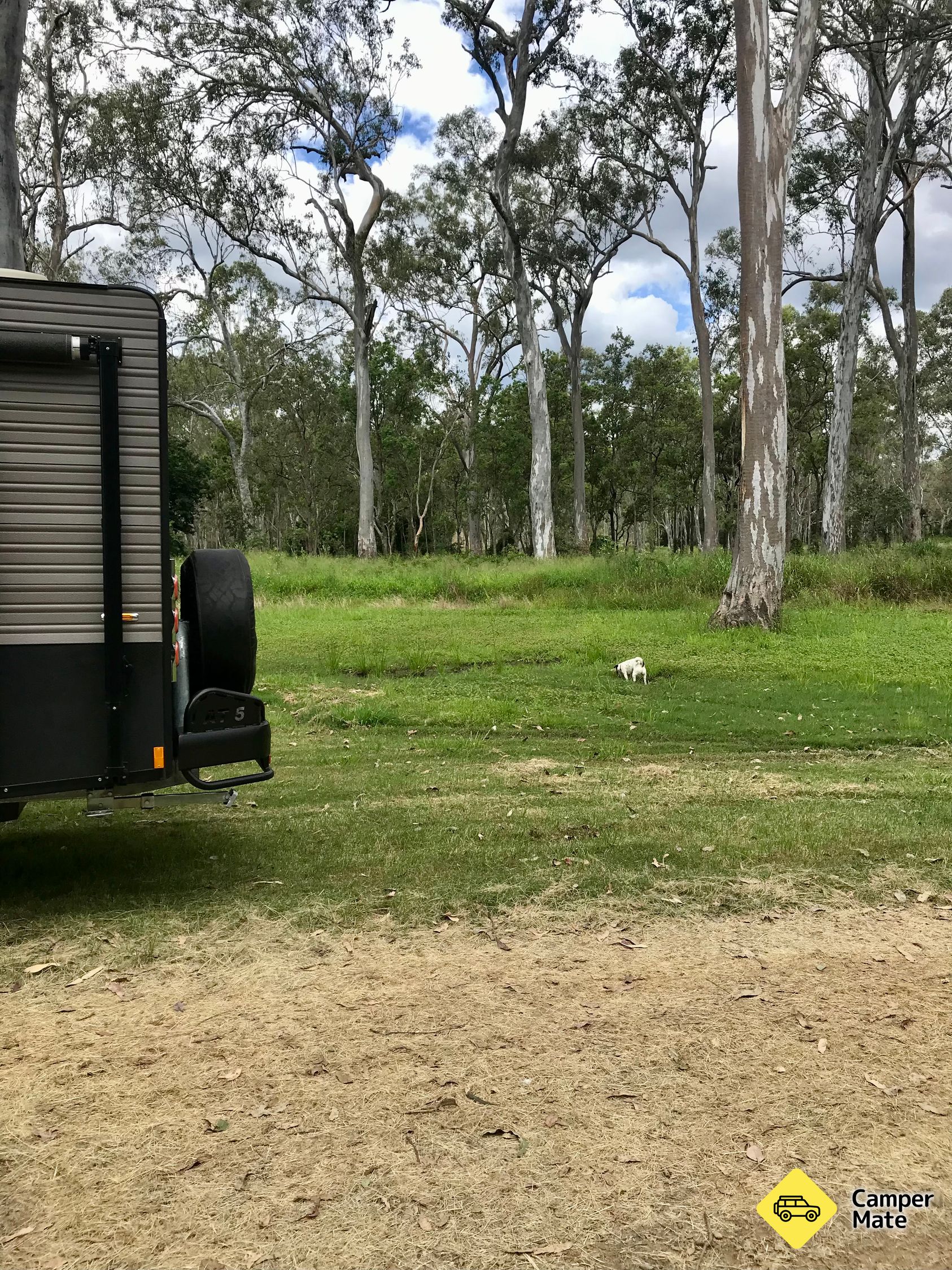 Localização: Lawless Park Rest Area (Booubyjan)