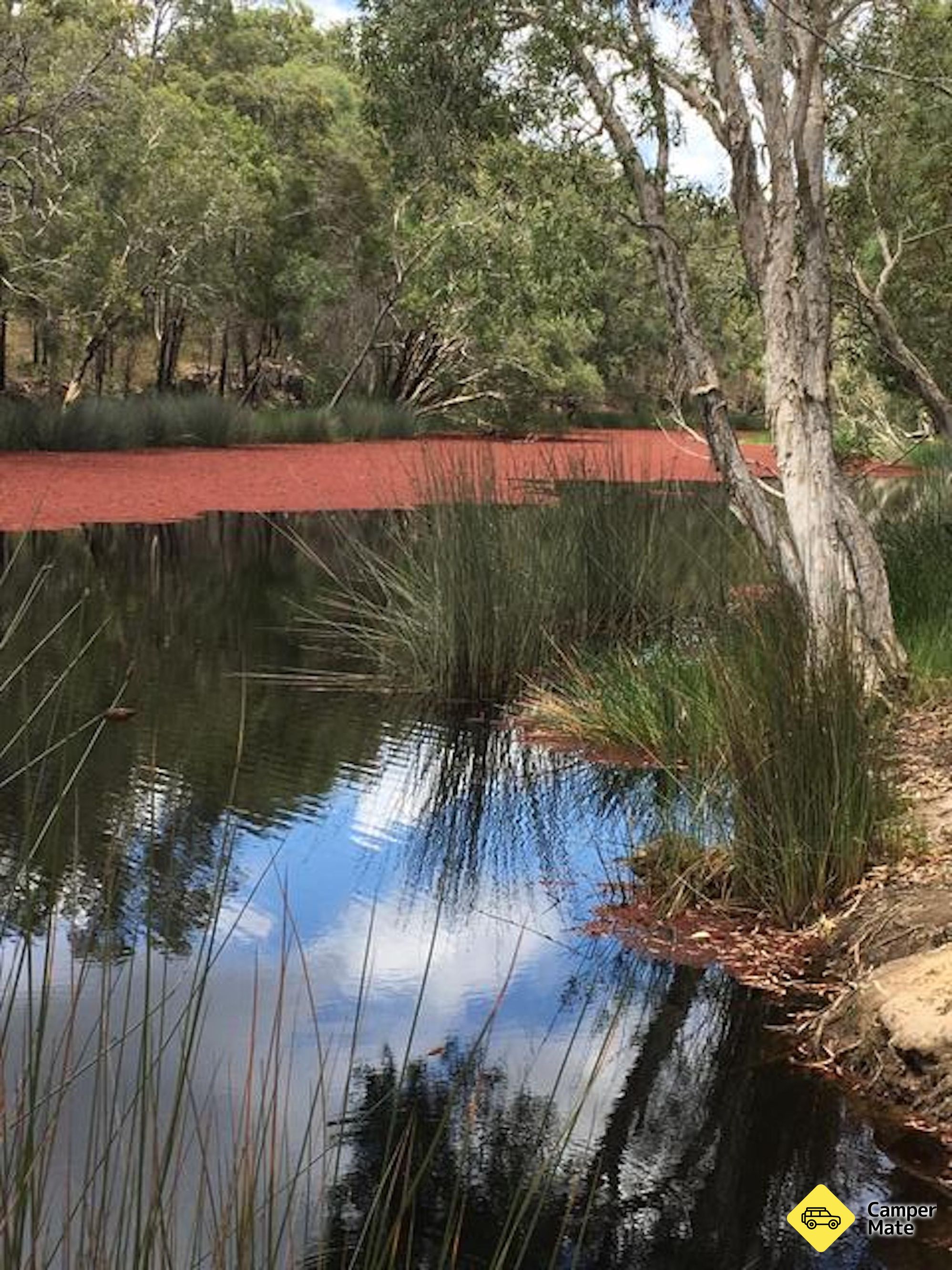 Wongi Waterholes Camping Area - Image 2