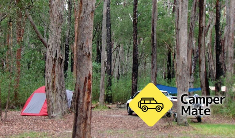 Wallingat River Campground