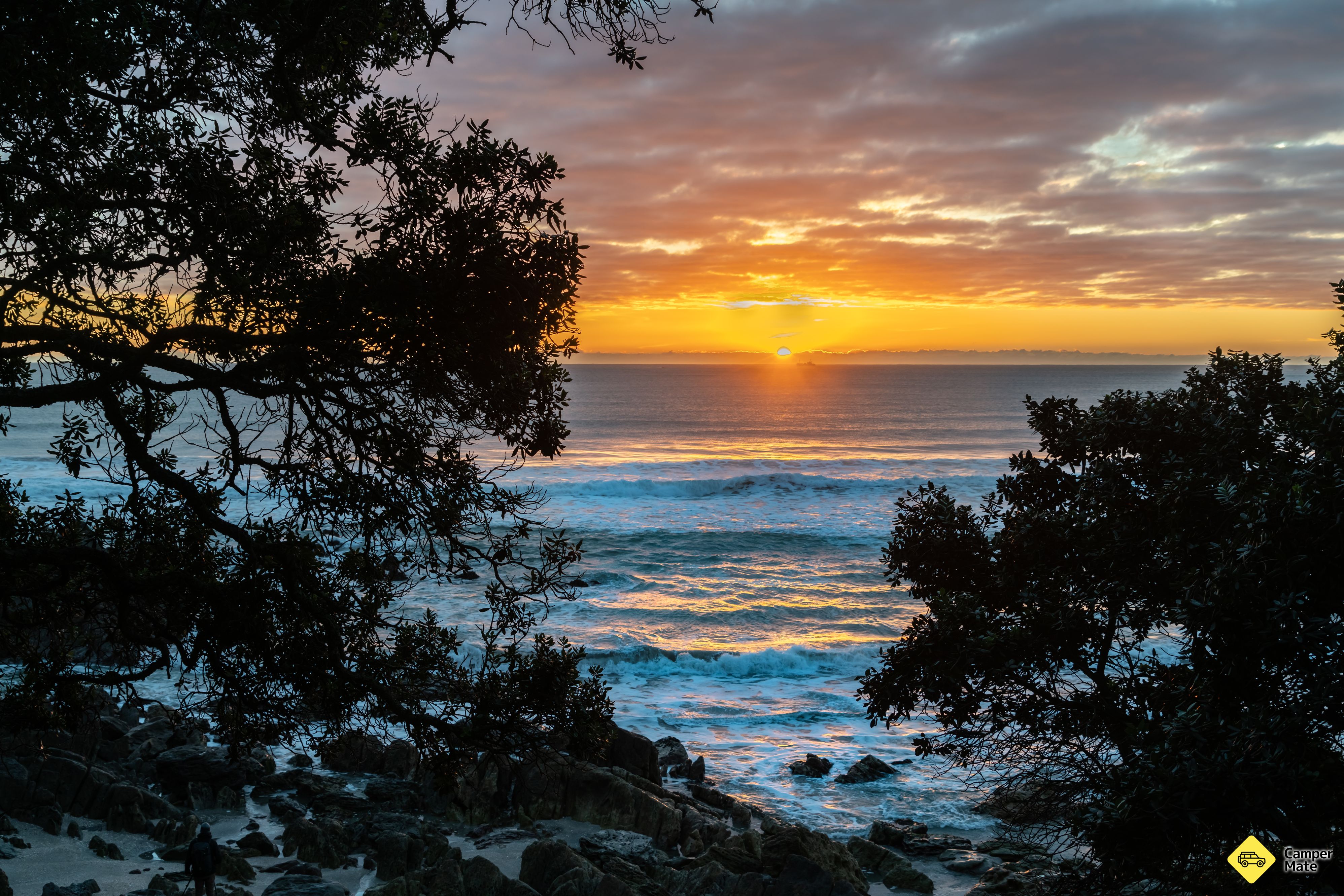 Mount Maunganui Base Track - Image 3