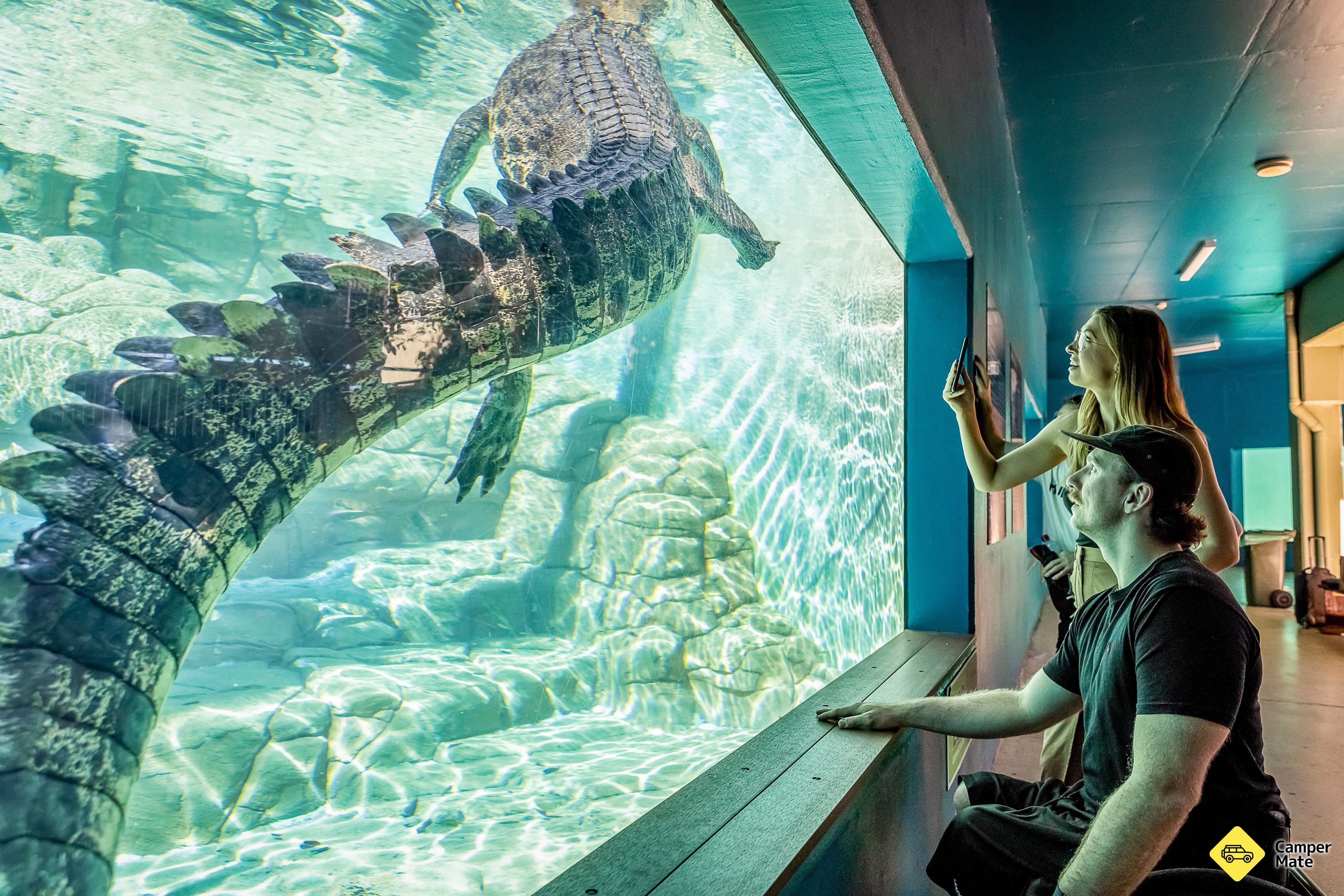 Activiteiten in de omgeving van Crocosaurus Cove Crocodile Park - Image 3