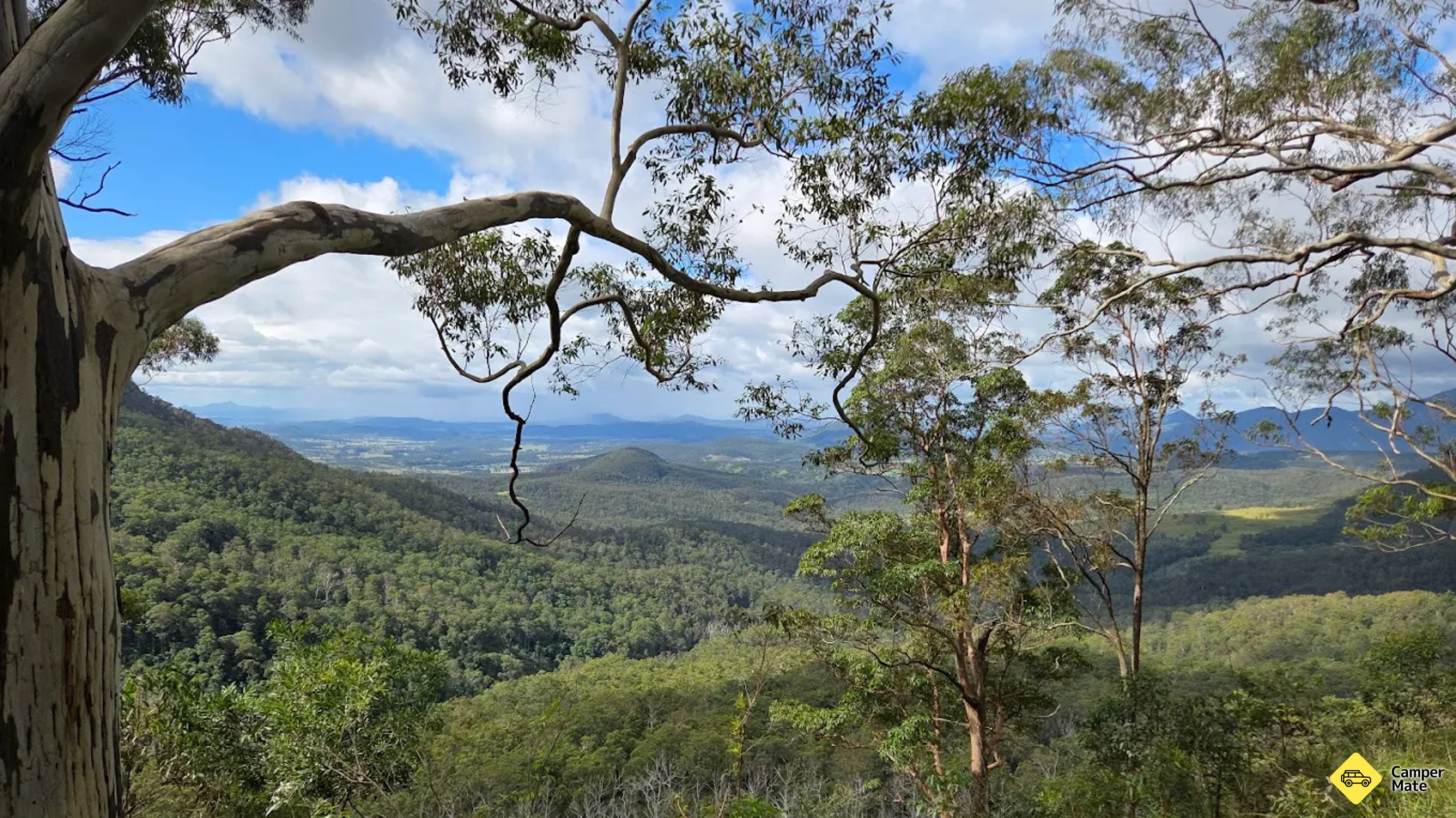 Teviot Falls em Lookout