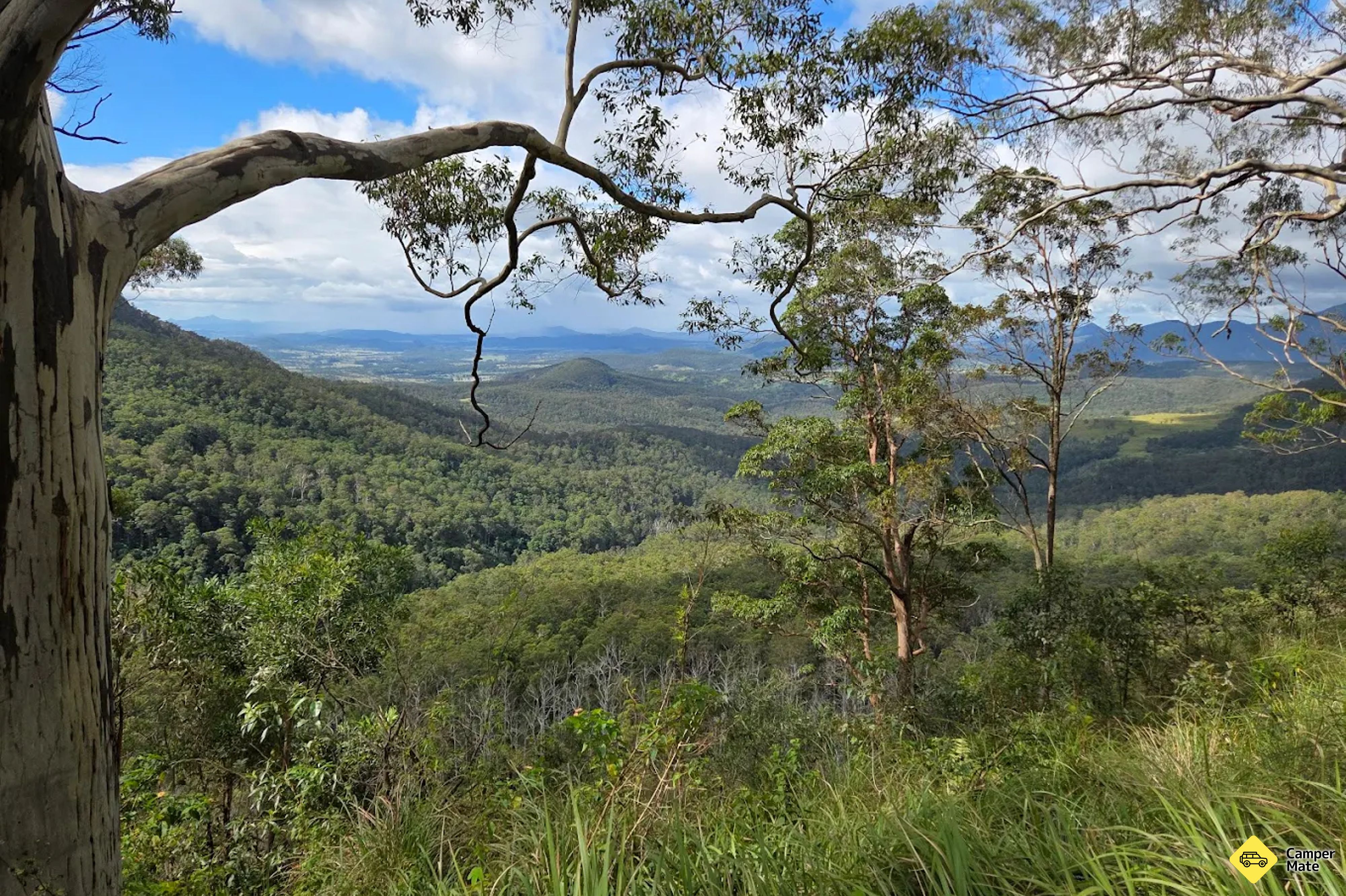 Pääartikkeli: Teviot Falls Lookout