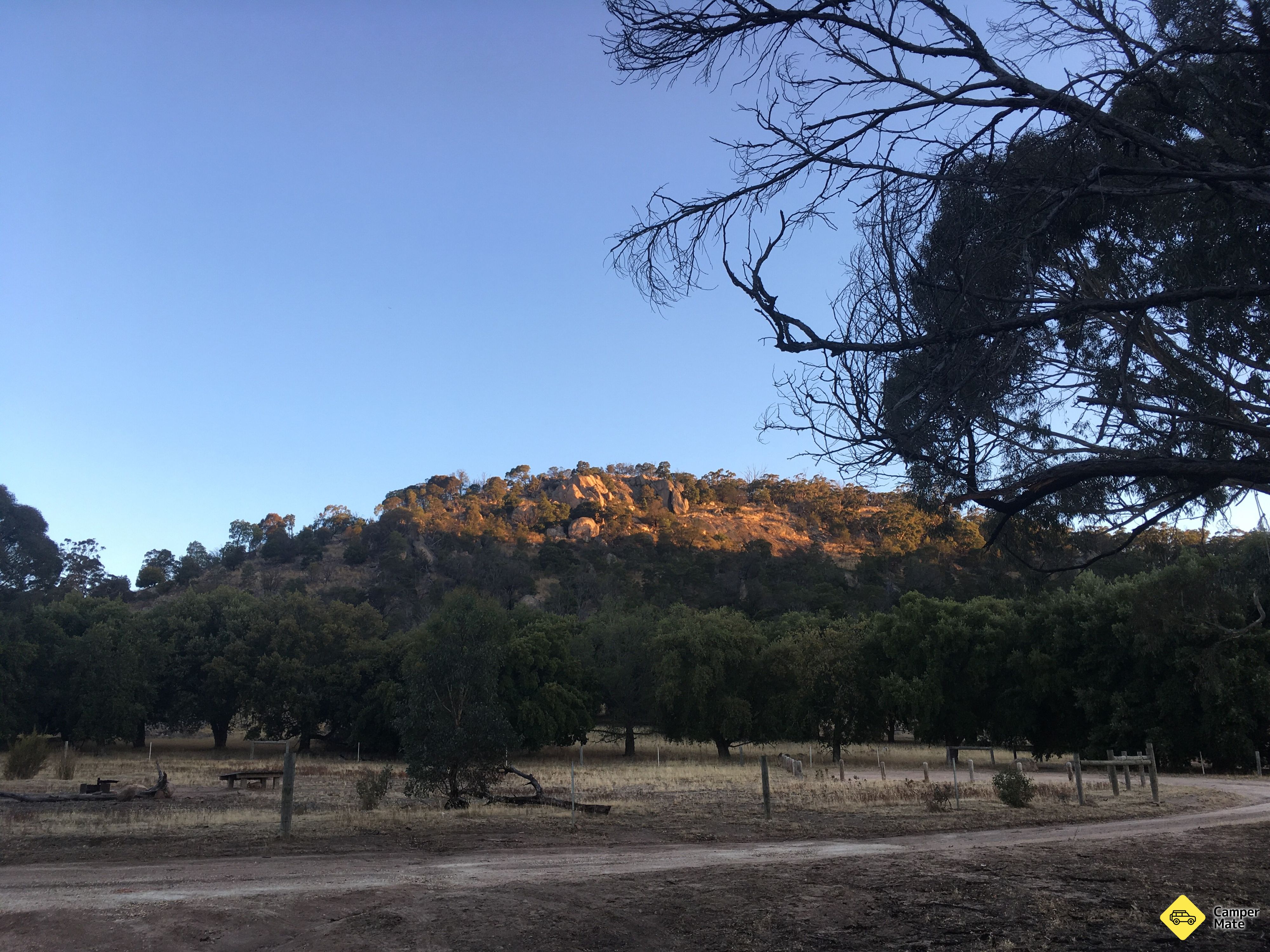 Cork Oaks Picnic Area - Mount Beckworth Scenic Reserve - Image 2