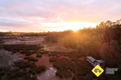 Reed Beds Bird Hide Boardwalk