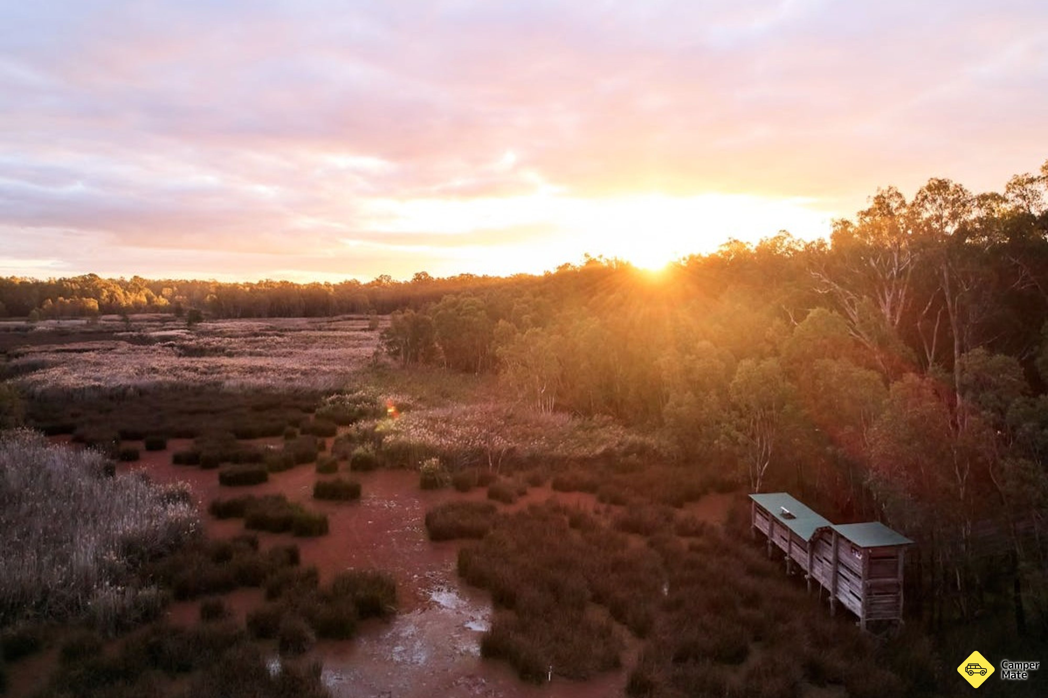 Reed Beds Bird Hide Boardwalk