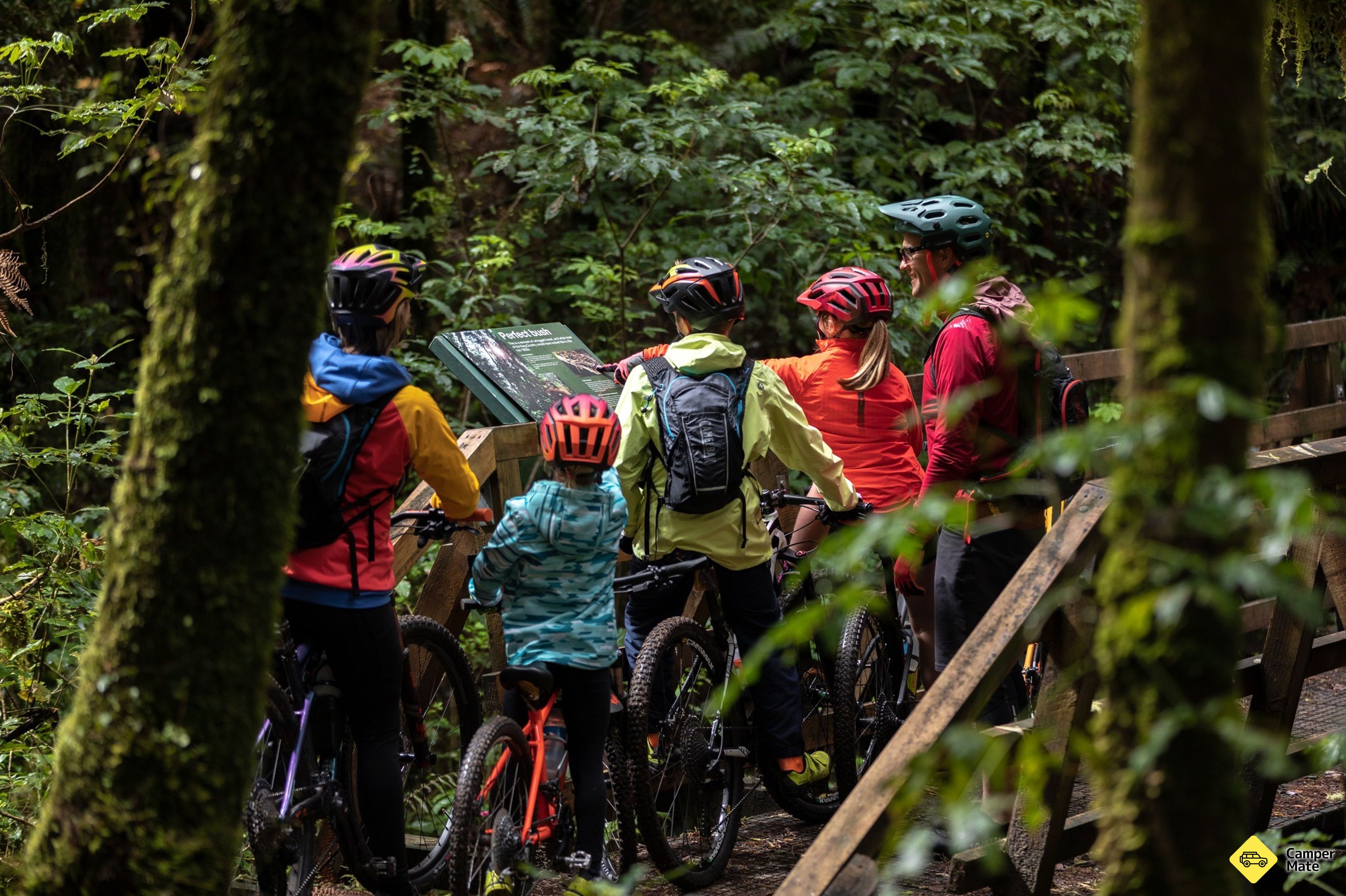 Timber Trail Cycling - Image 2