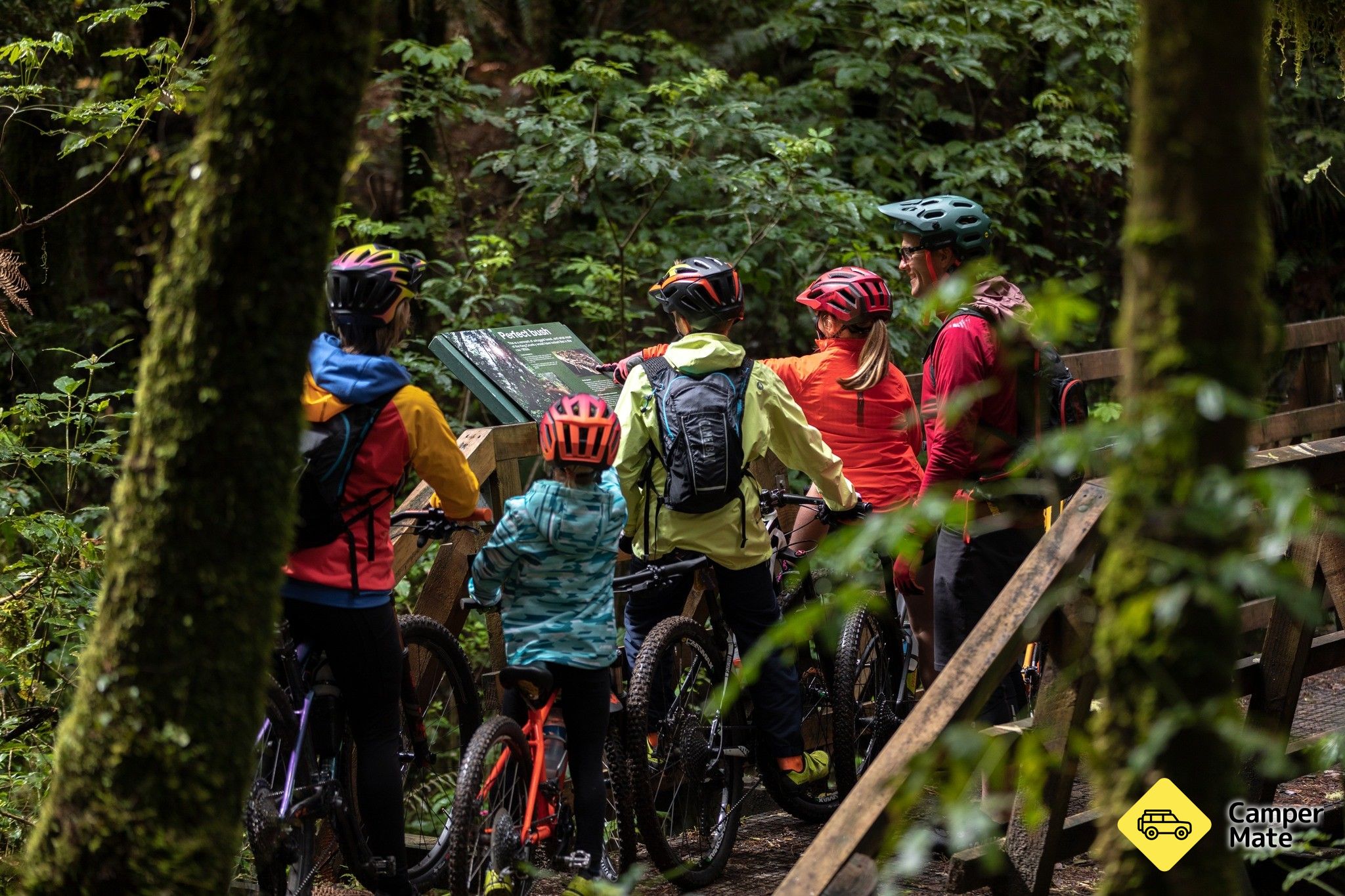 Timber Trail Cycling - Image 2