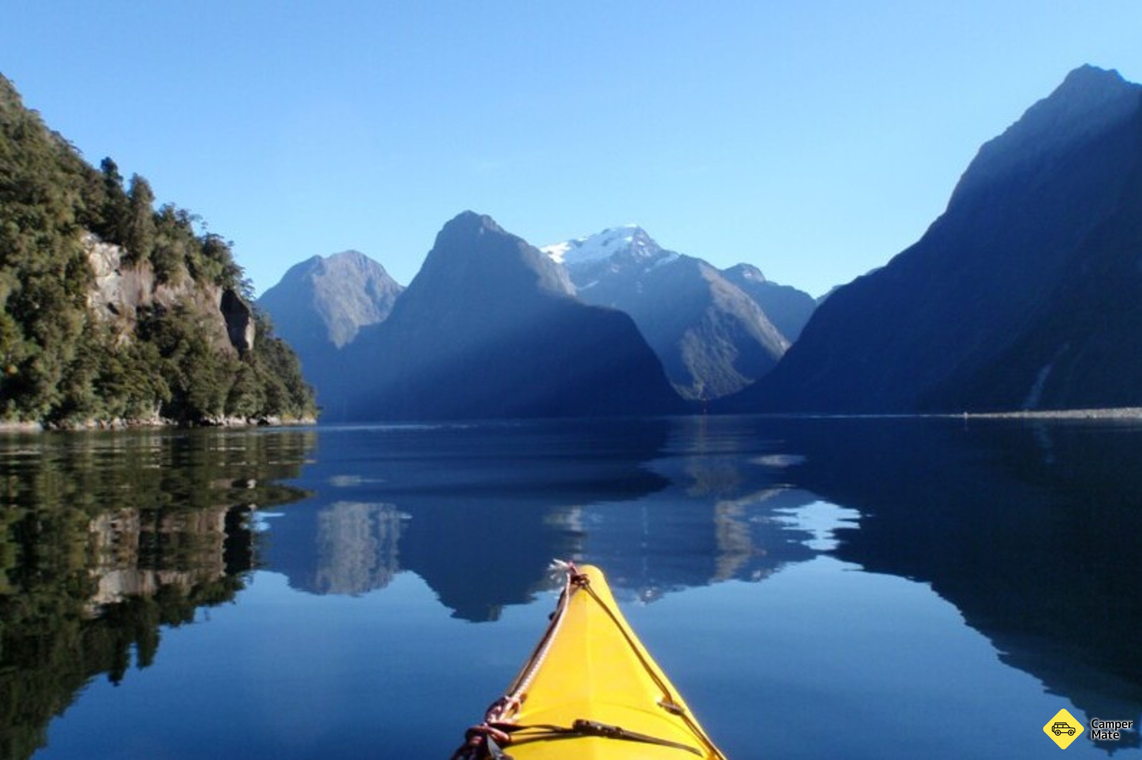 Roscoe's Famous Milford Sound Kayak Tour - Image 2