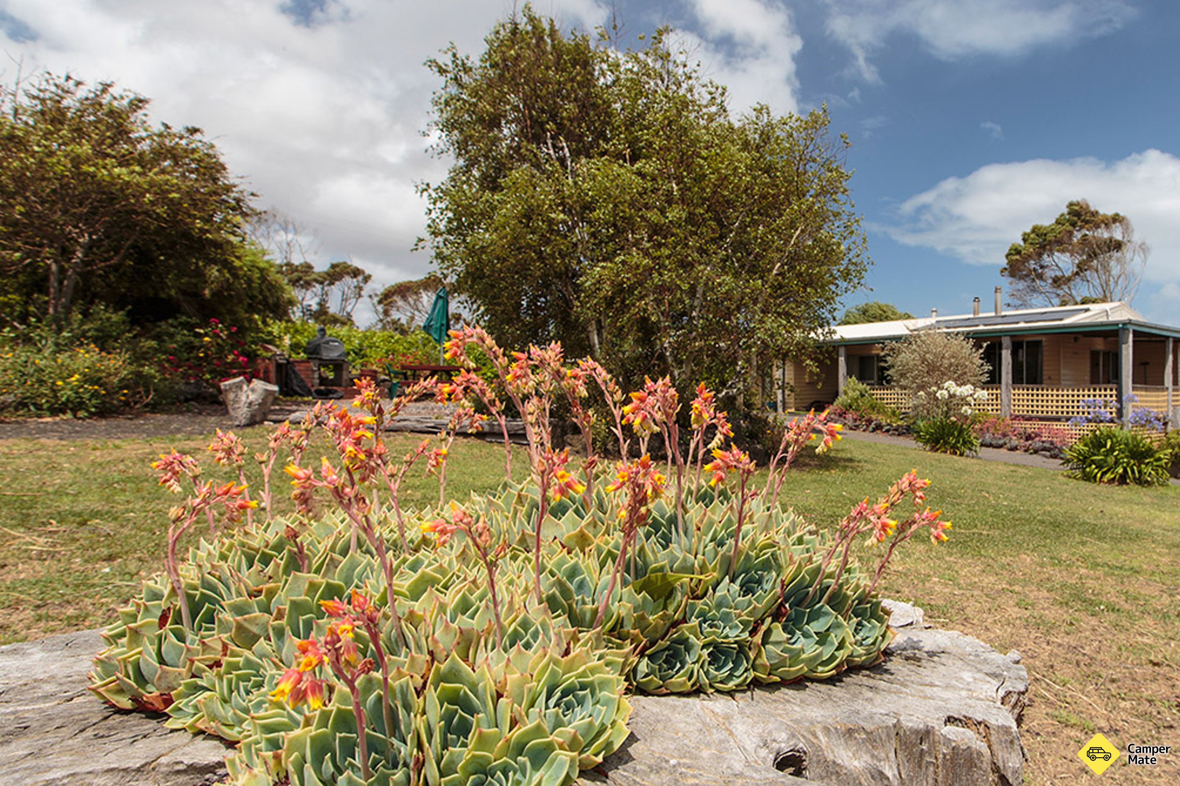 La fattoria di Macka's Lodge