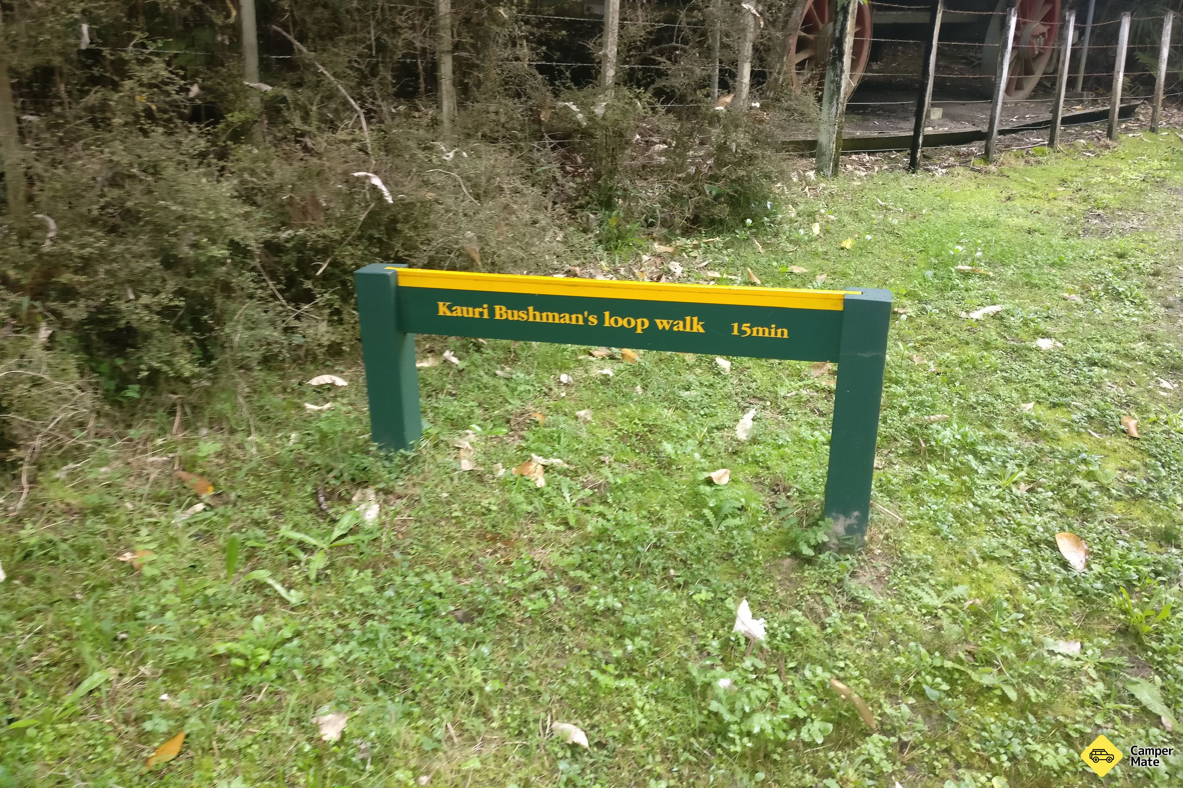 Kauri Bushman em Keep Walk - Image 2