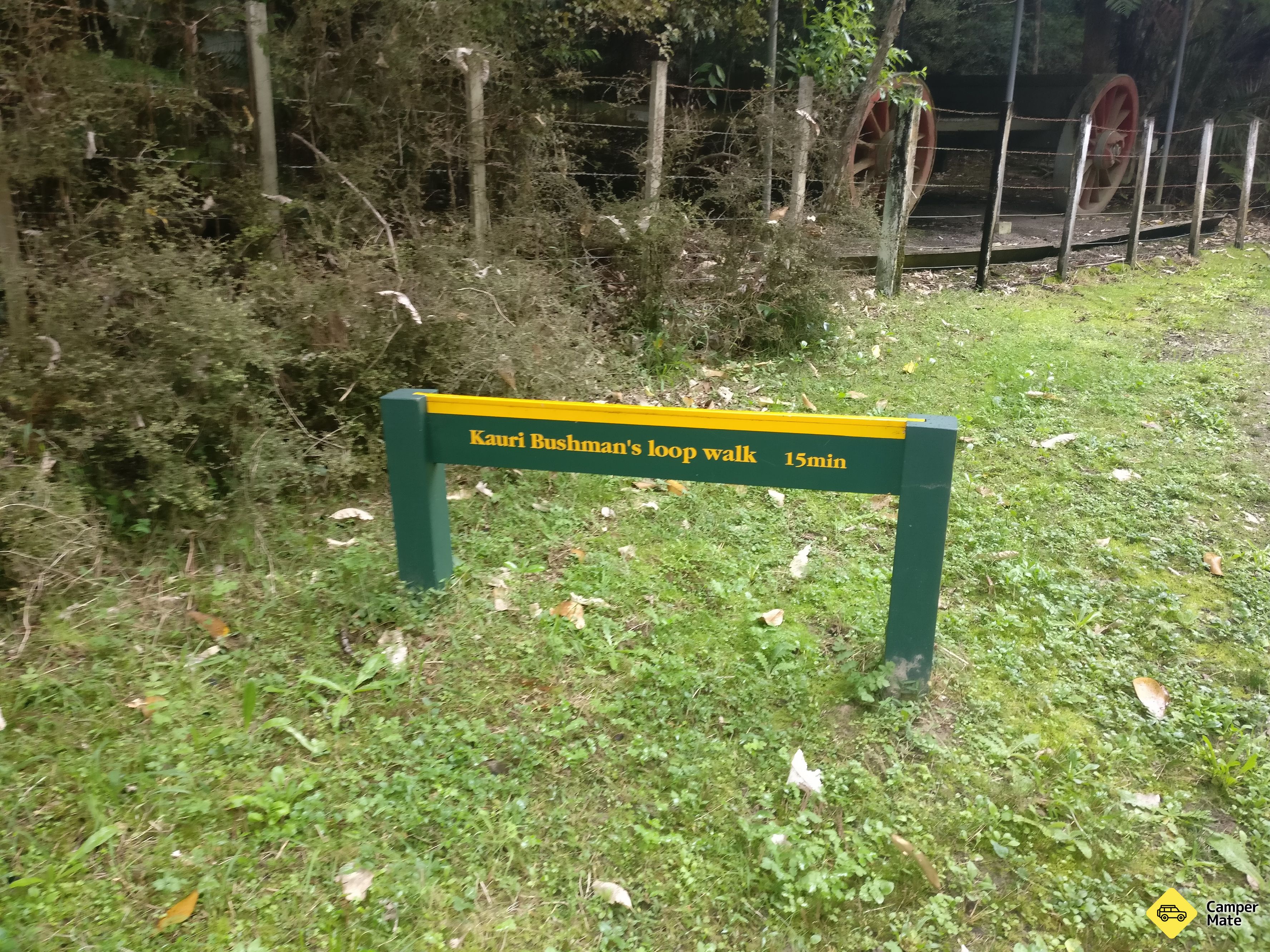 Kauri Bushman em Keep Walk - Image 2