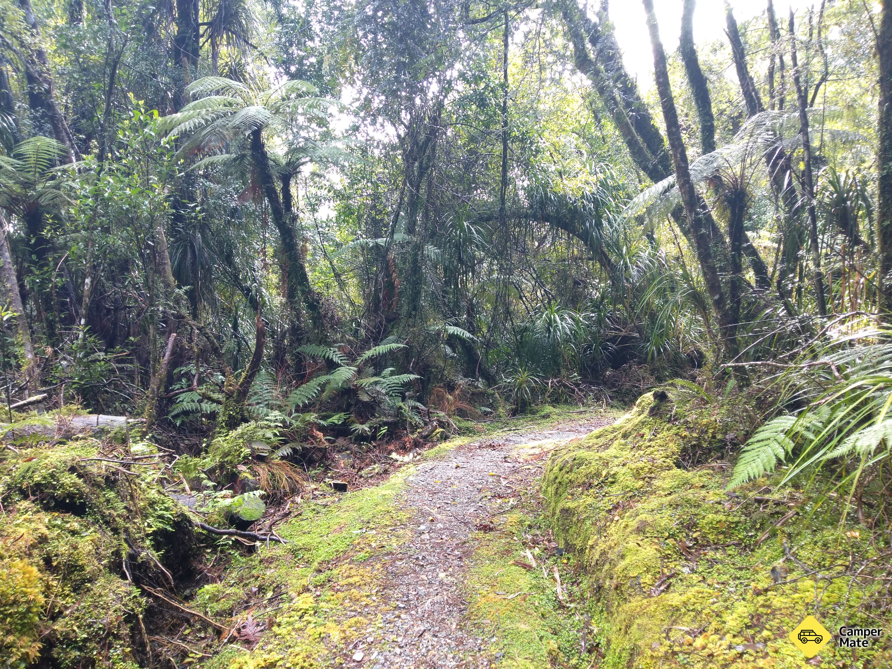 Wilberg Walk