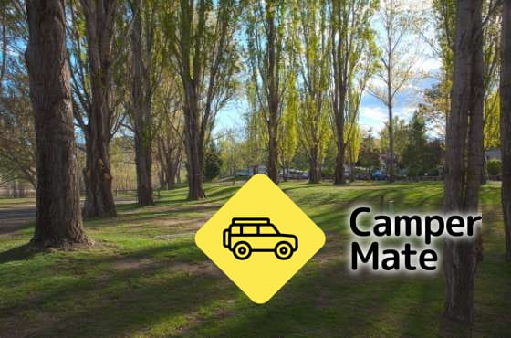 Discovery Parks - Jindabyne - Image 2