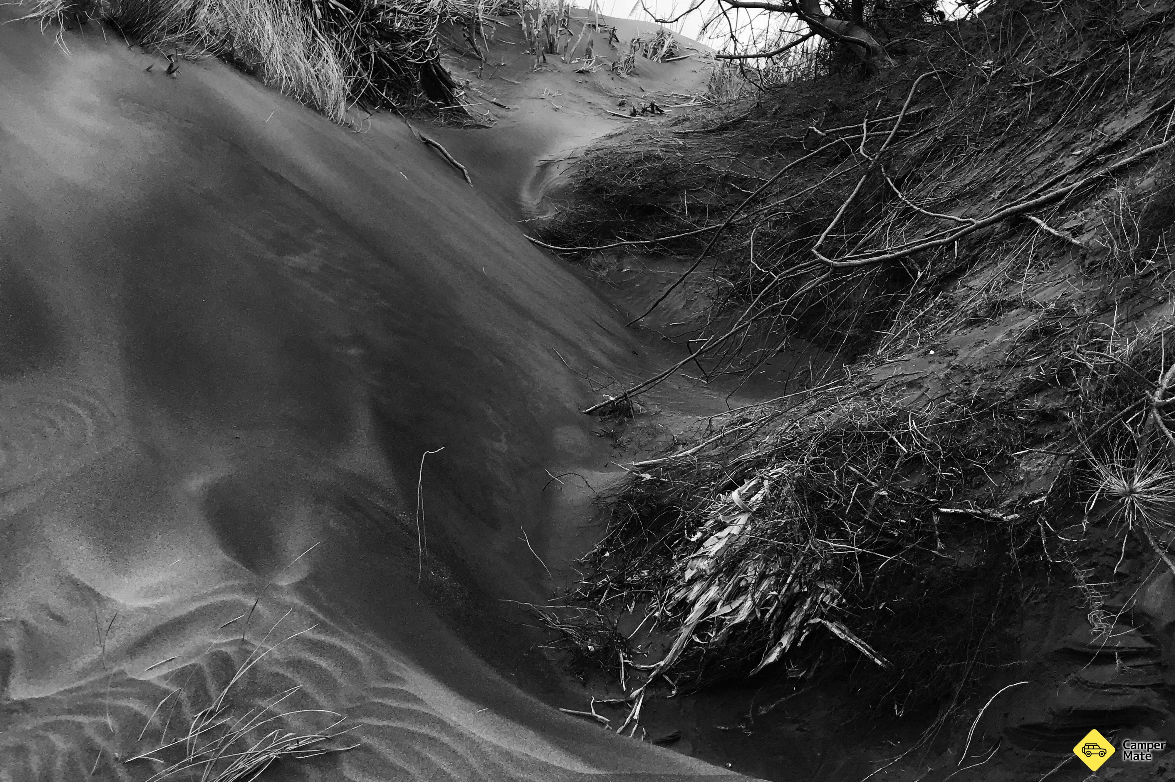Ξενοδοχεία σε: Kawhia Ocean Beach Hot Springs - Image 3