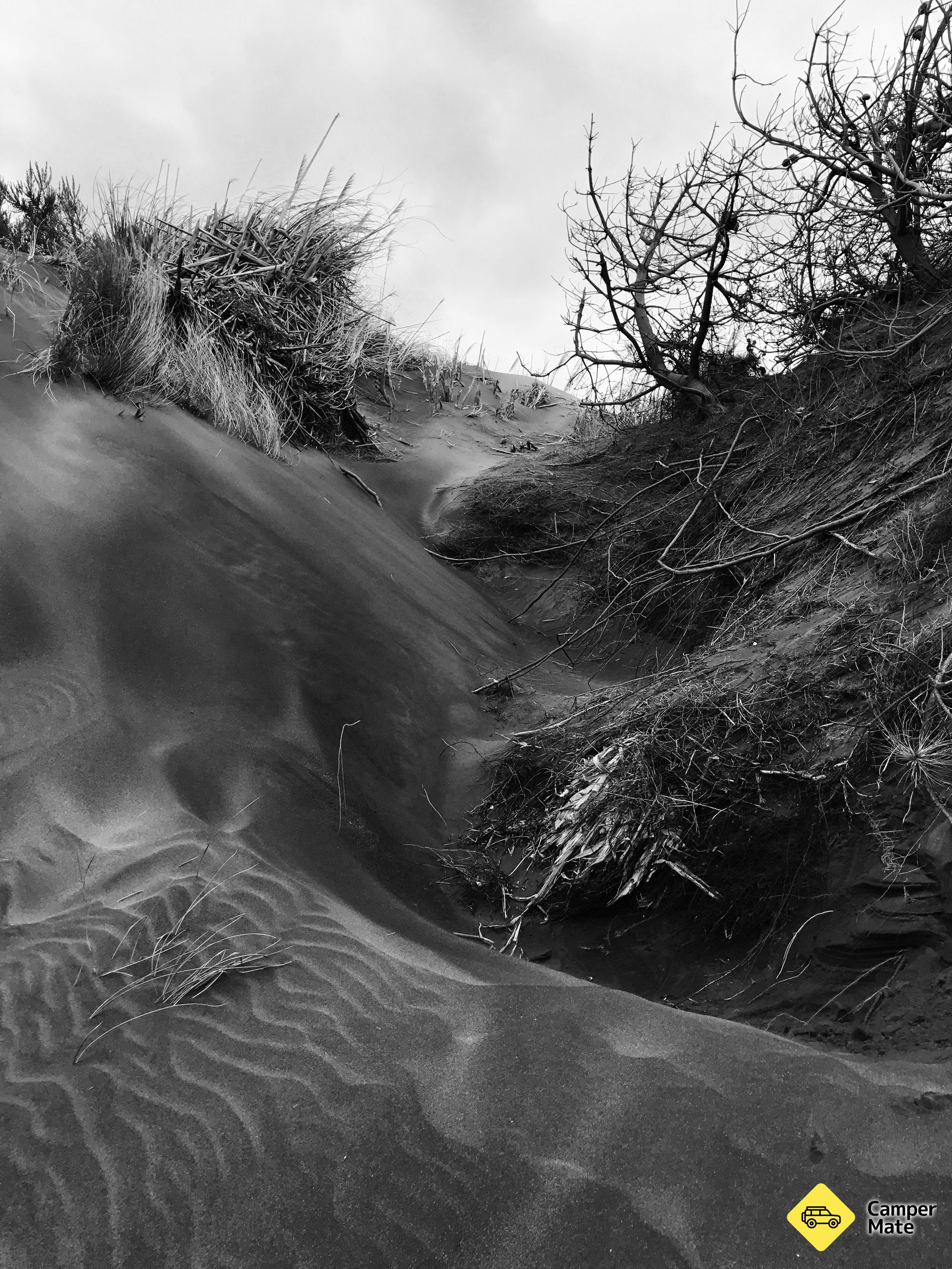 Kawhia Ocean Beach Hot Springs - Image 3