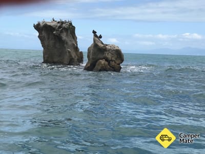 Adele Island Seal Colony