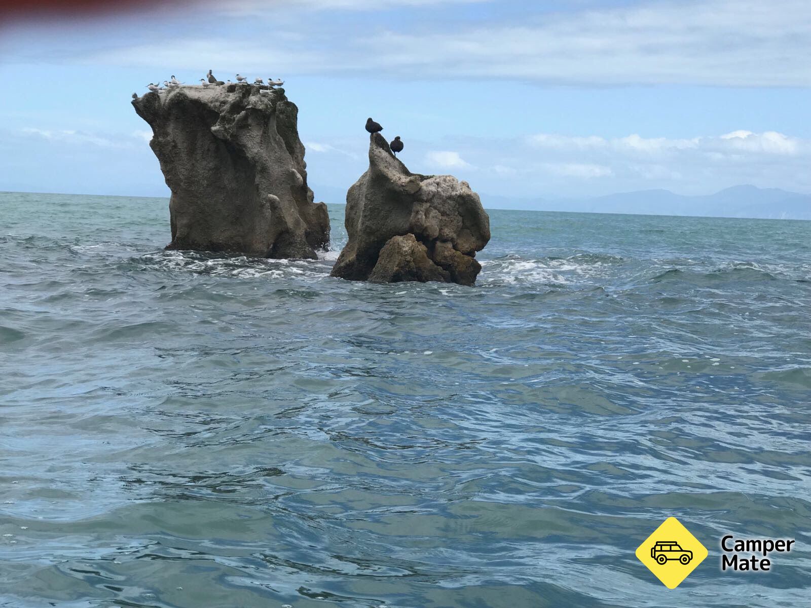 Adele Island Seal Colony