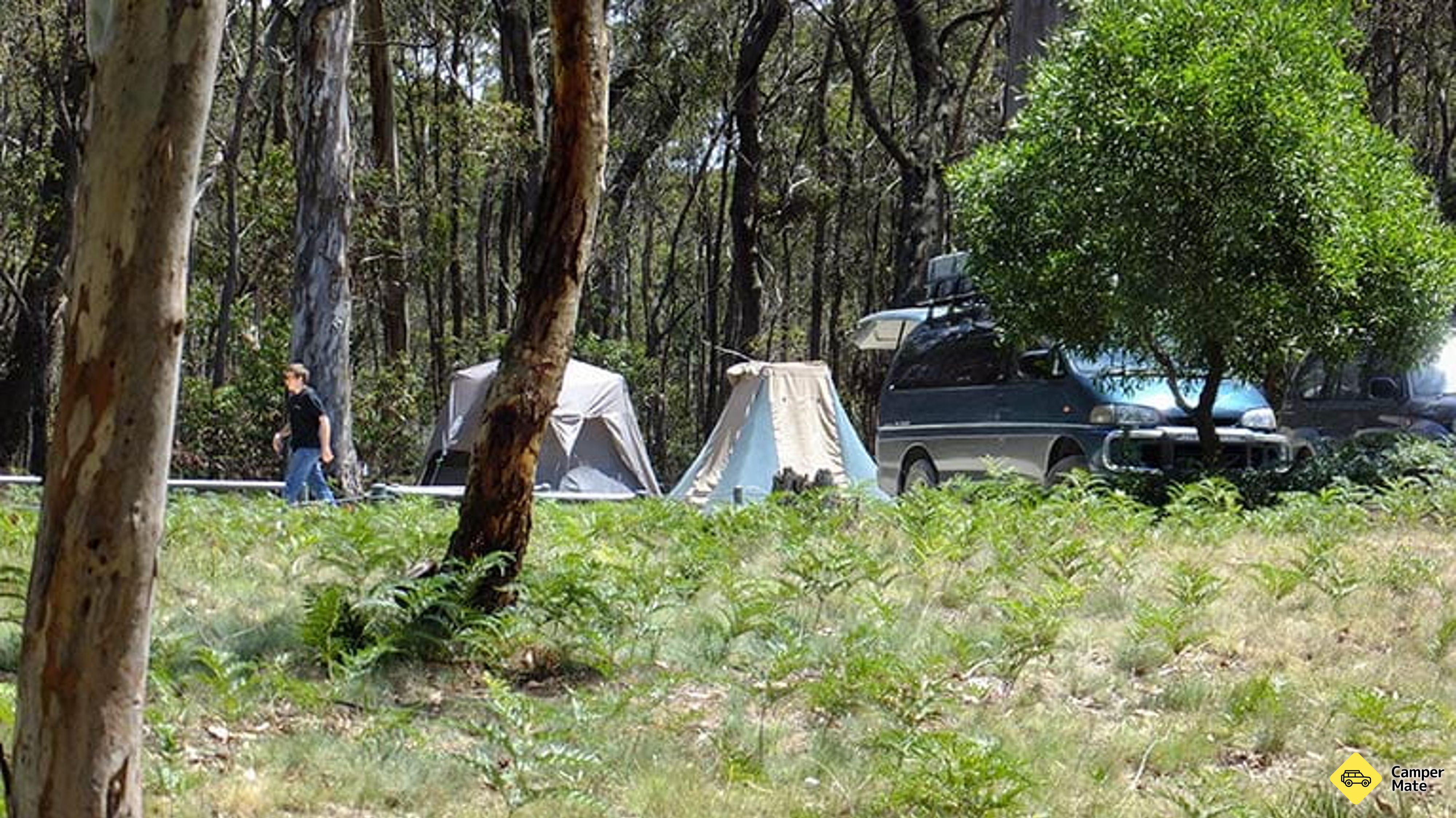 Alquileres en Mount Werong