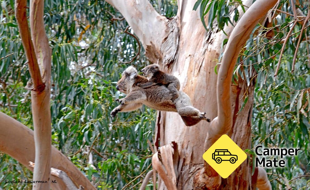 Hanson Bay Wildlife Sanctuary