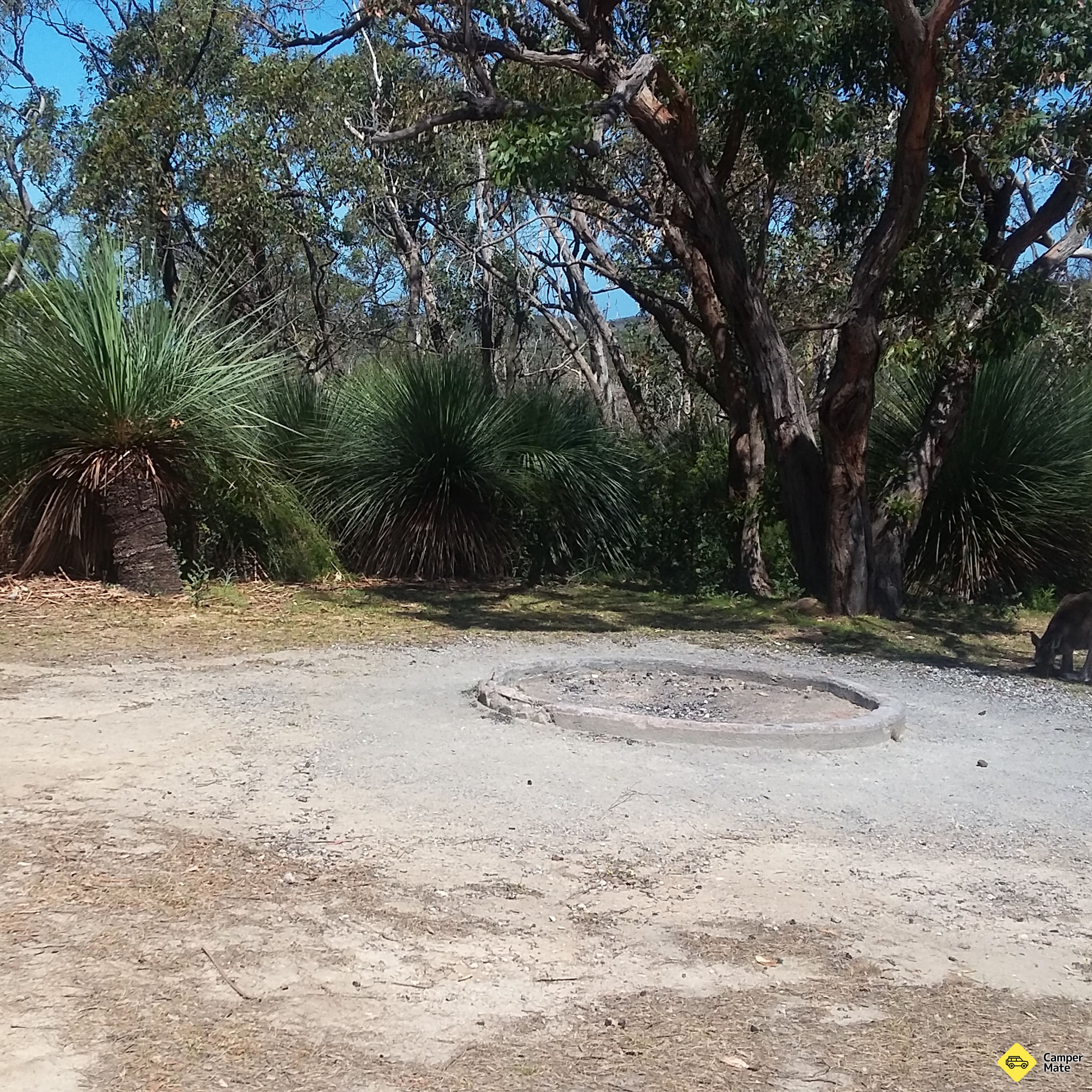 Trig Campground - Image 2