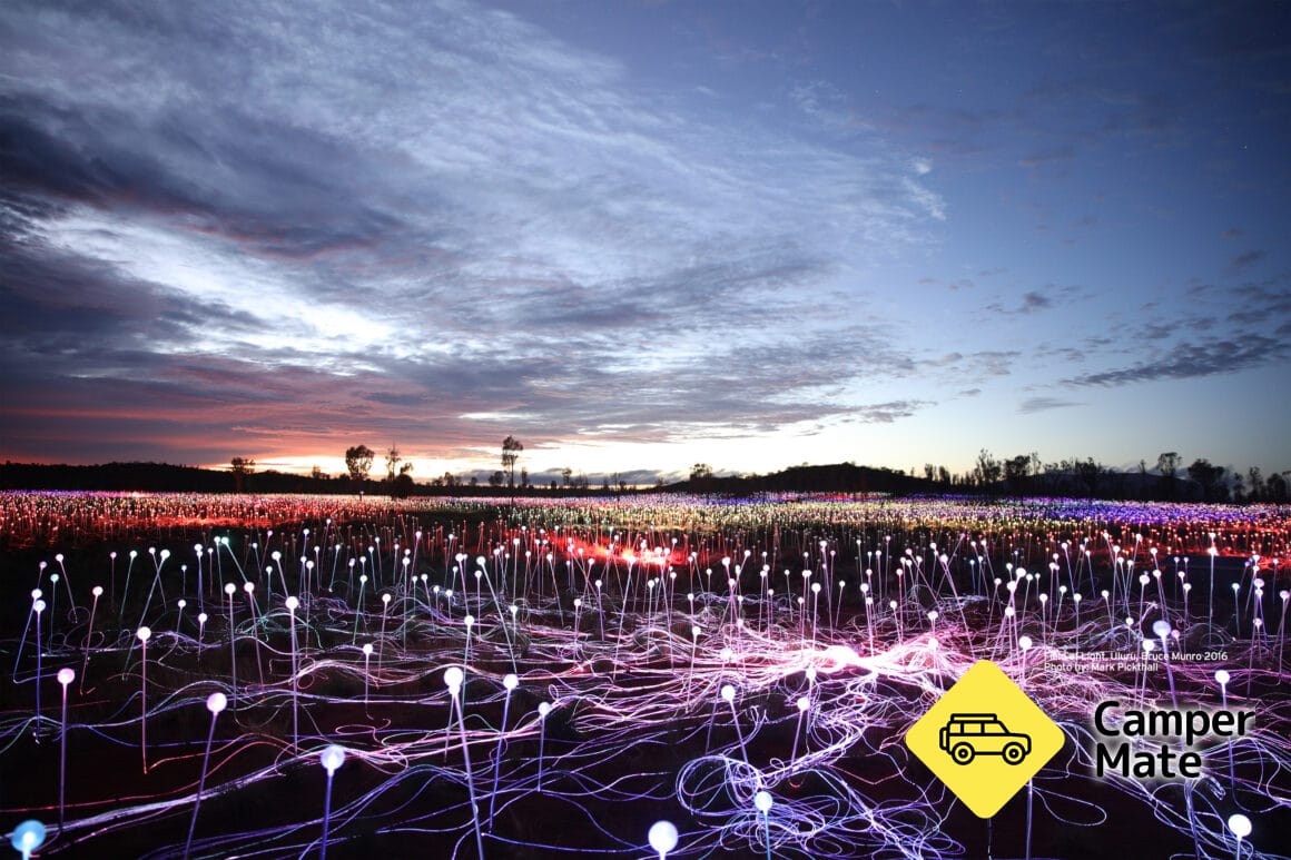 Field of Light Uluru - Image 2